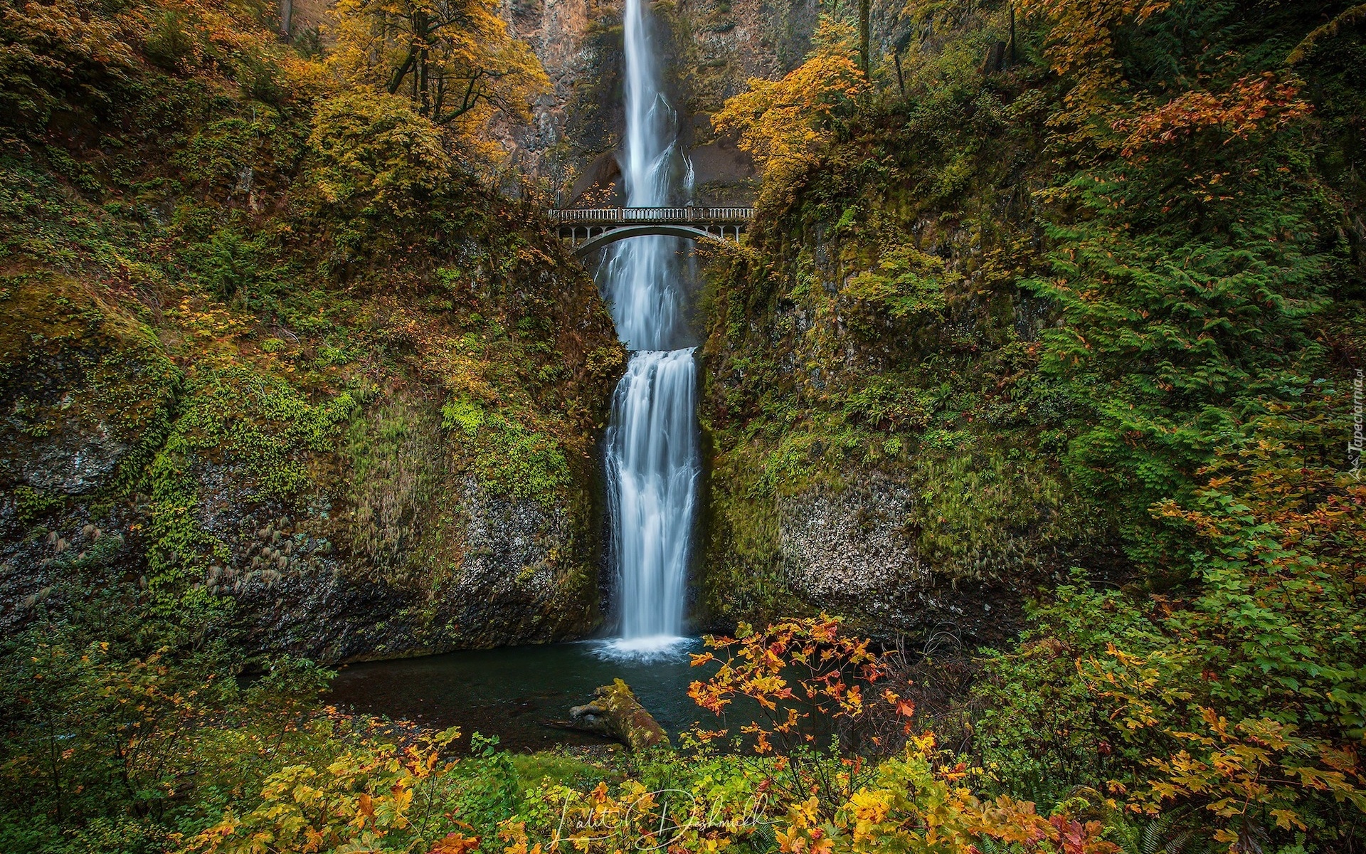Wodospad, Multnomah Falls, Most, Skały, Drzewa, Hrabstwo Multnomah, Oregon, Stany Zjednoczone