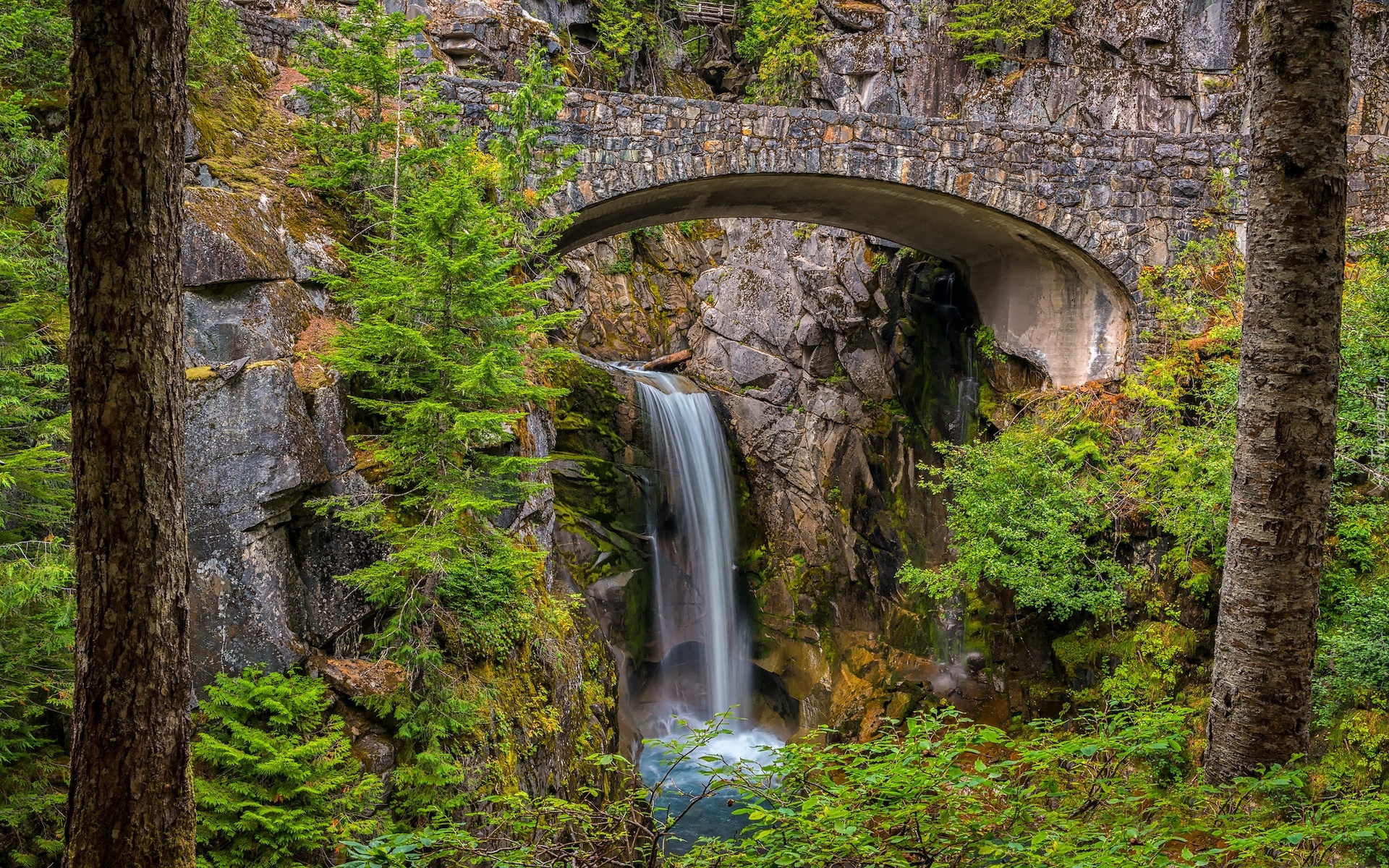 Stany Zjednoczone, Waszyngton, Park Narodowy Mount Rainier, Wąwóz, Van Trump, Most, Drzewa, Wodospad, Christine Falls