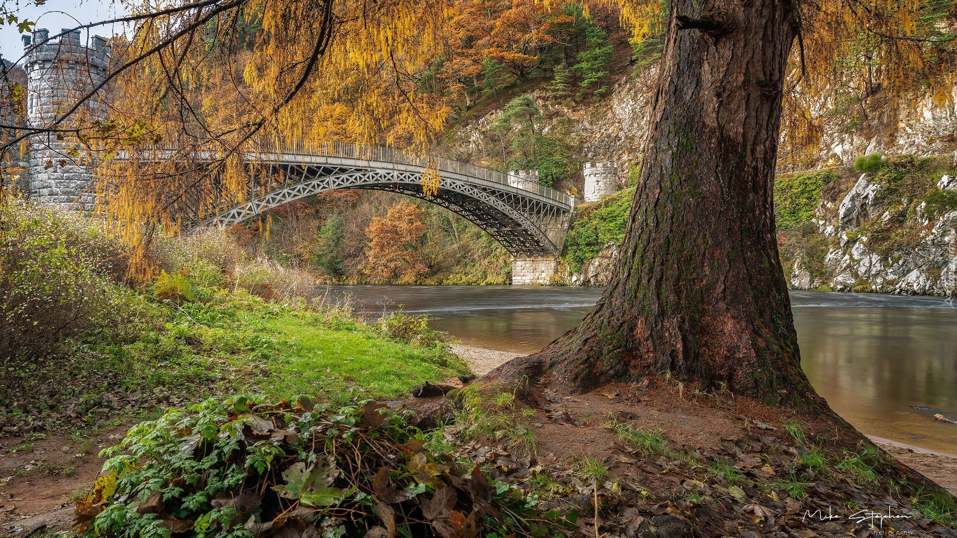 Jesień, Rzeka, Spey River, Most, Craigellachie Bridge, Drzewo, Rośliny, Szkocja