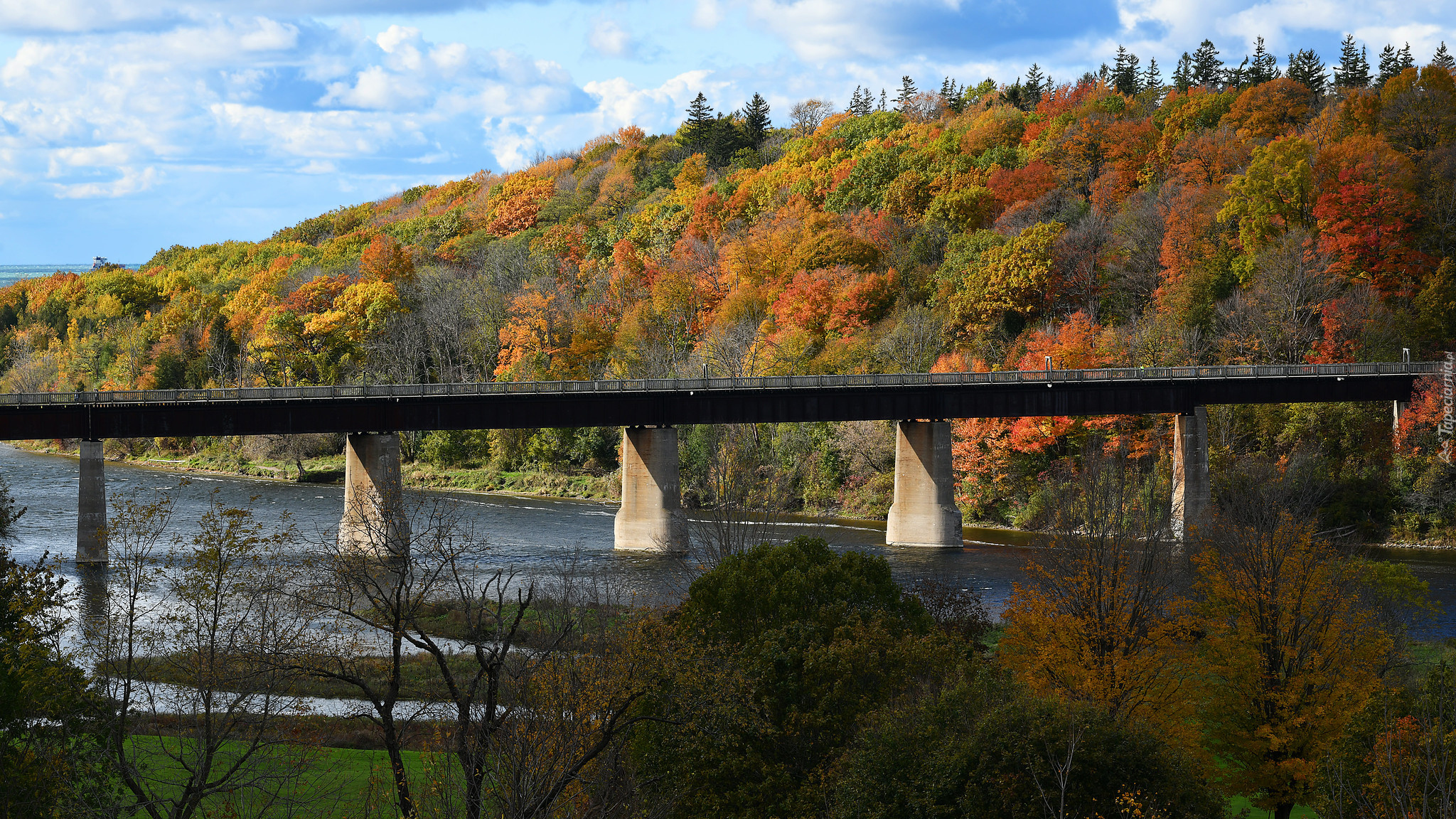 Jesień, Wzgórze, Rzeka, Maitland River, Most, Menesetung Bridge, Drzewa, Goderich, Prowincja Ontario, Kanada