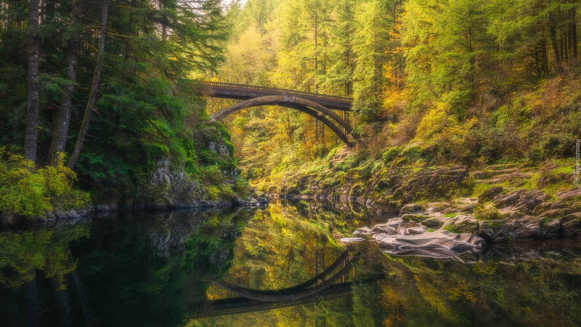 Las, Rzeka, Lewis River, Most, Moulton Falls Bridge, Skały, Stan Waszyngton, Stany Zjednoczone