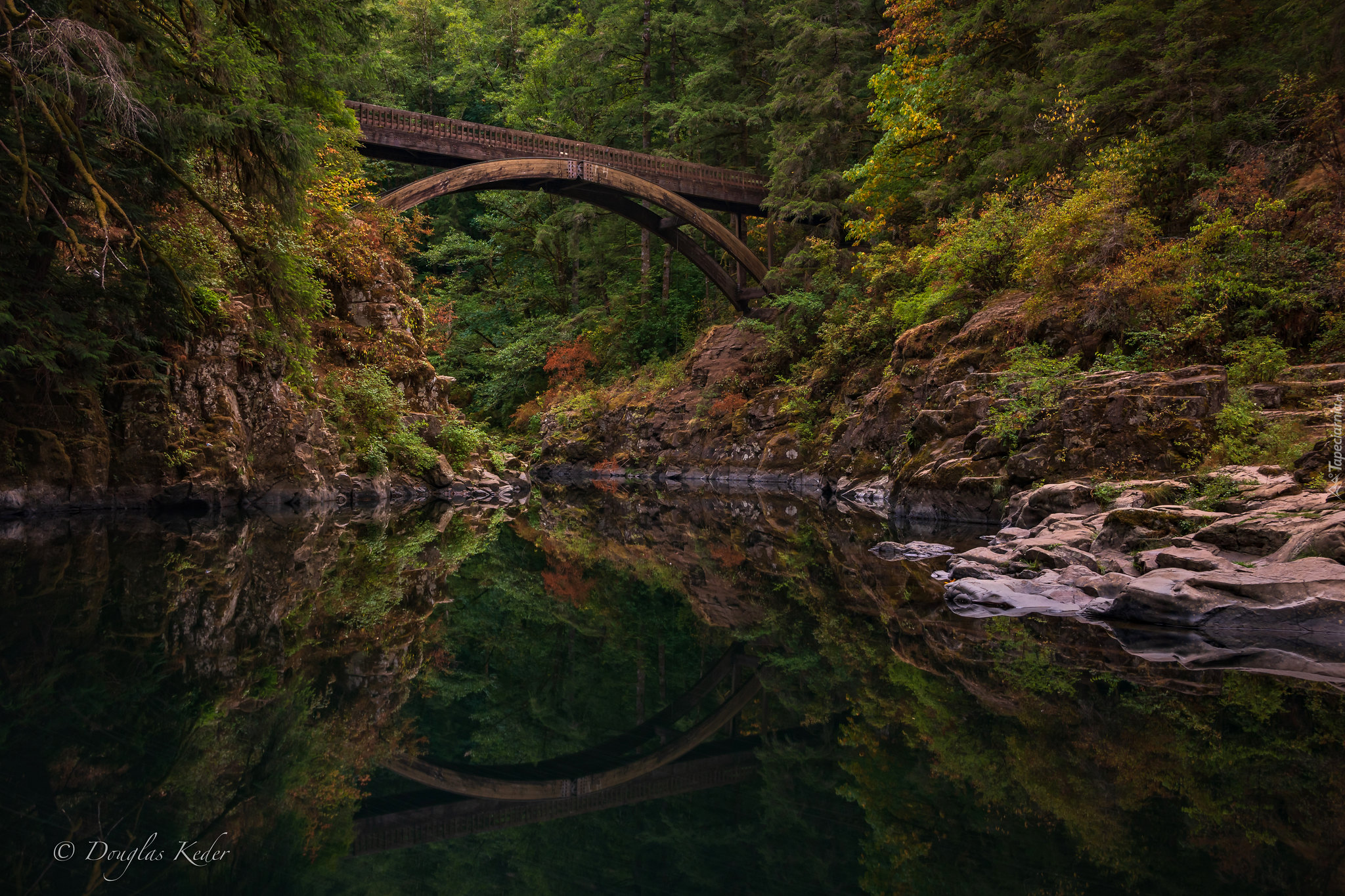 Las, Drzewa, Rzeka Lewis River, Most Moulton Falls Bridge, Skały, Stan Waszyngton, Stany Zjednoczone