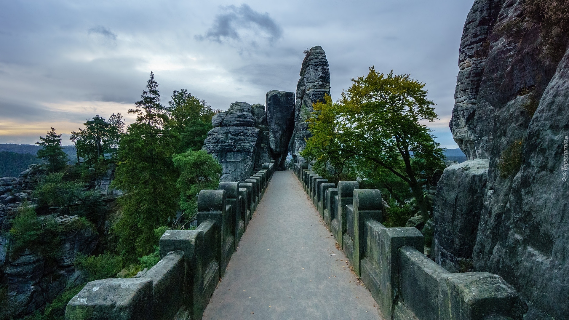 Park Narodowy Saskiej Szwajcarii, Drzewa, Skały, Most, Formacja Bastei, Mgła, Góry Połabskie, Niemcy