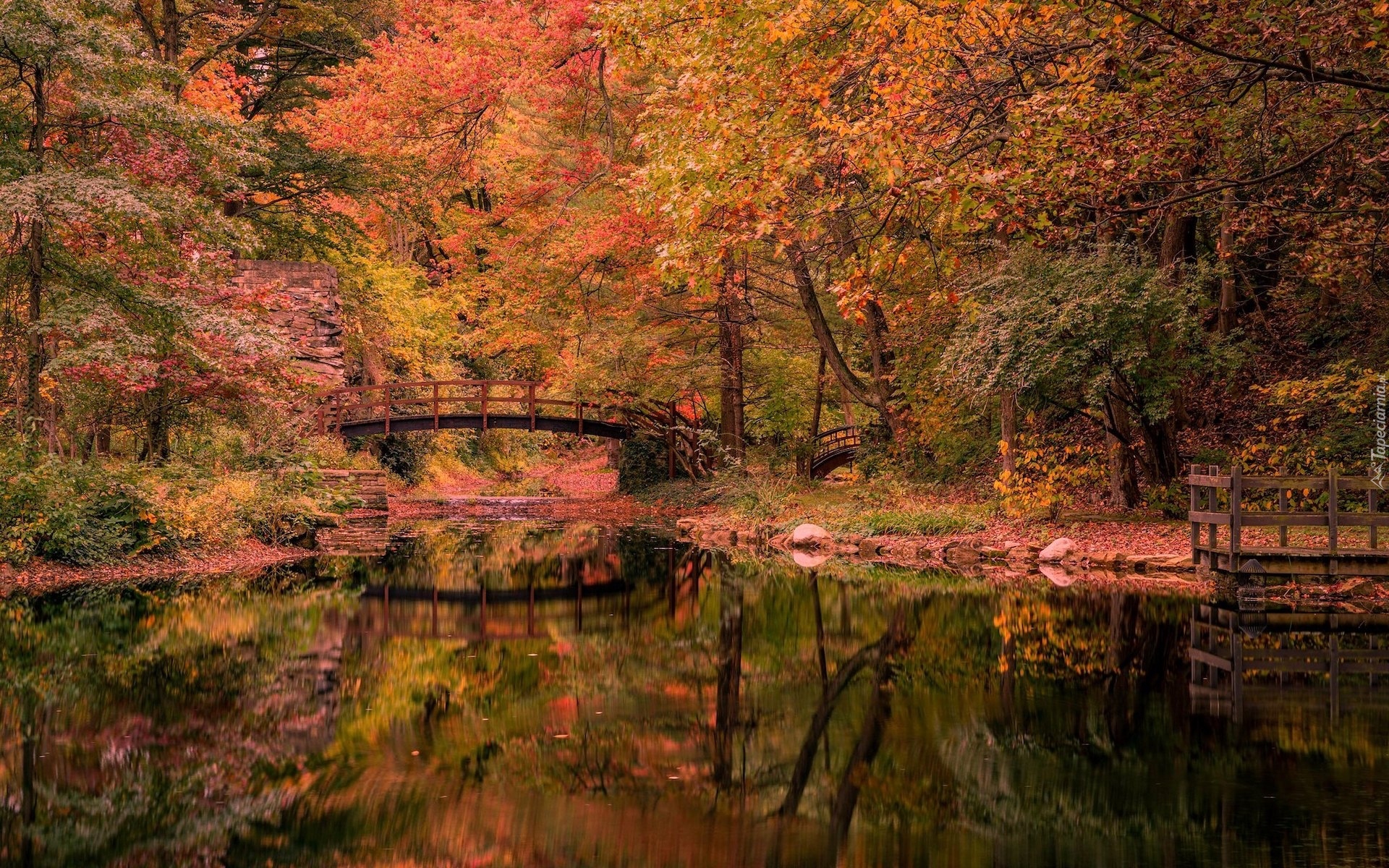 Jesień, Drzewa, Mostek, Ogród, Rzeka, Stan Hywet Hall and Gardens, Akron, Ohio, Stany Zjednoczone