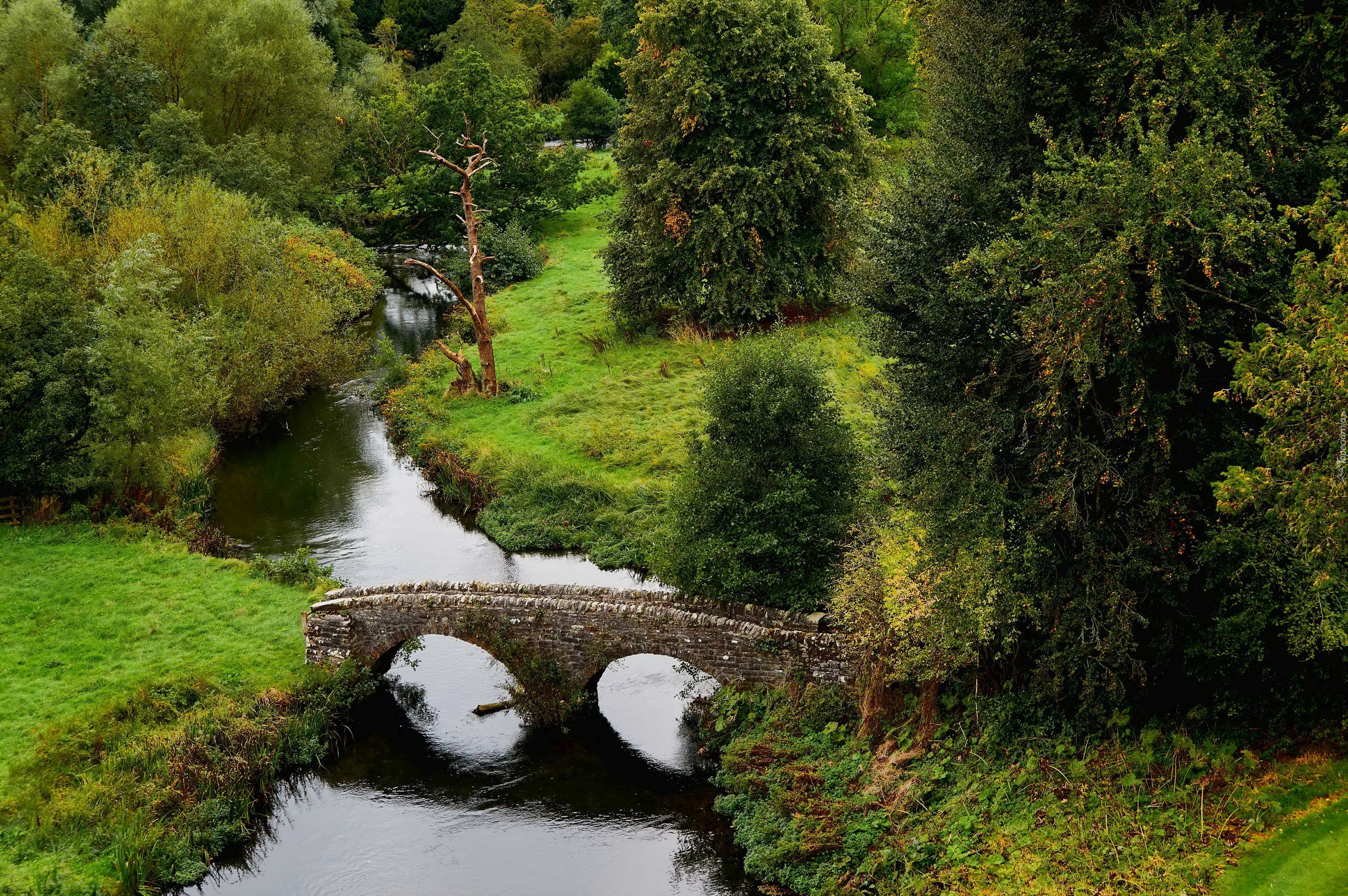 Anglia, Hrabstwo Derbyshire, Bakewell, Park, Mosty, Rzeka