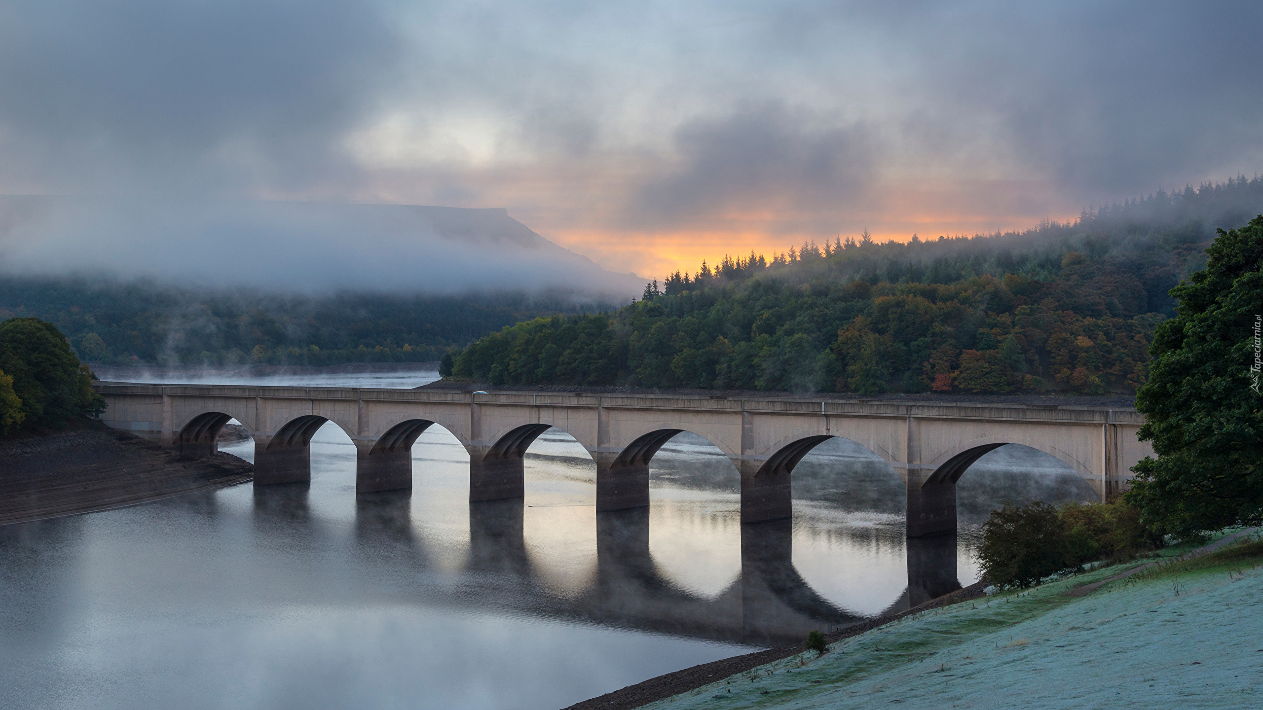 Anglia, Hrabstwo Derbyshire, Ladybower Reservoir, Jezioro, Most, Wzgórza, Mgła, Drzewa