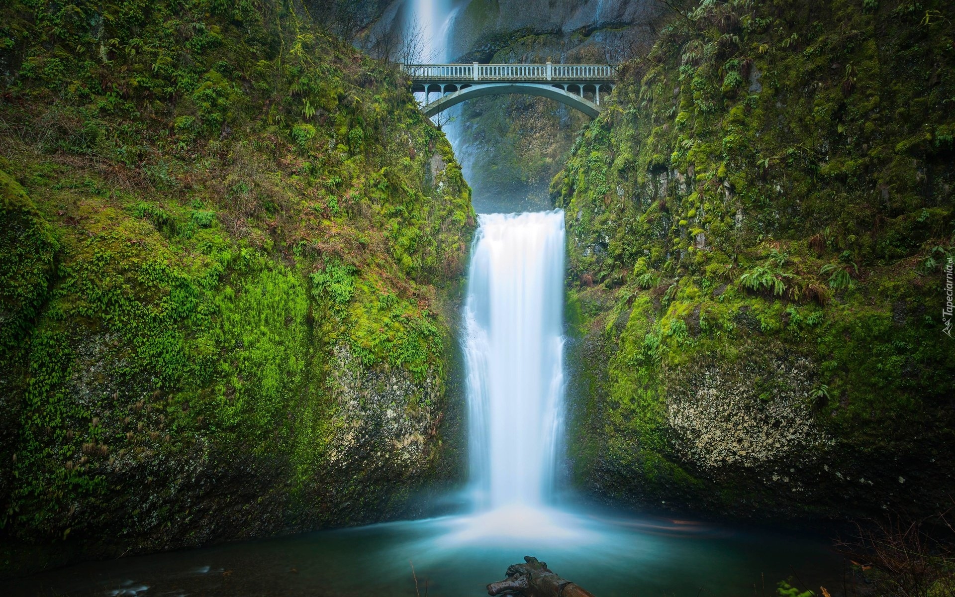 Most, Omszałe, Skały, Wodospad, Multnomah Falls, Stan Oregon, Stany Zjednoczone