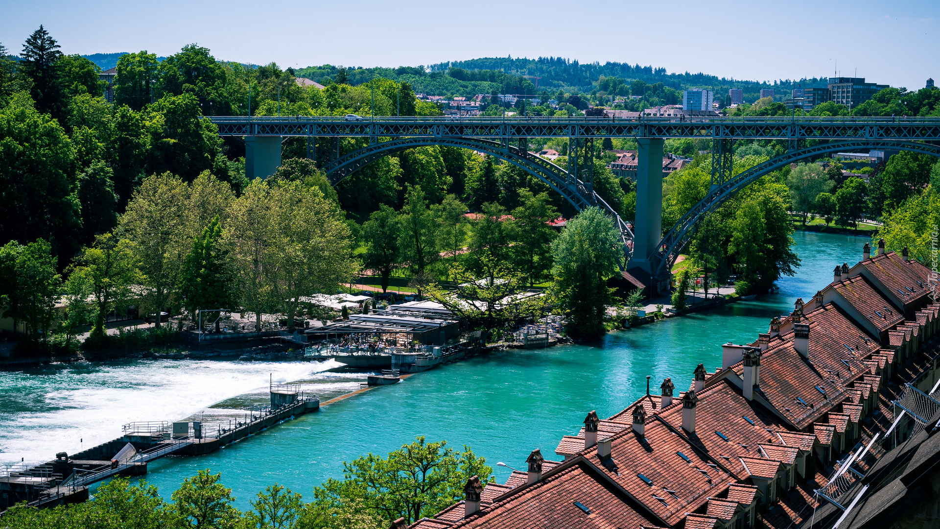 Rzeka, Aare river, Most, Dachy, Domów, Drzewa, Berno, Szwajcaria