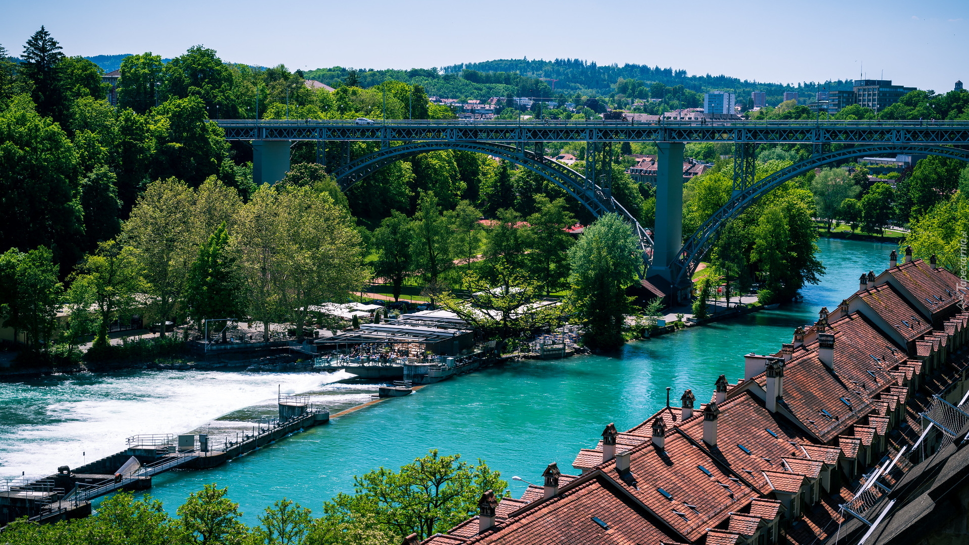 Rzeka, Aare river, Most, Dachy, Domów, Drzewa, Berno, Szwajcaria