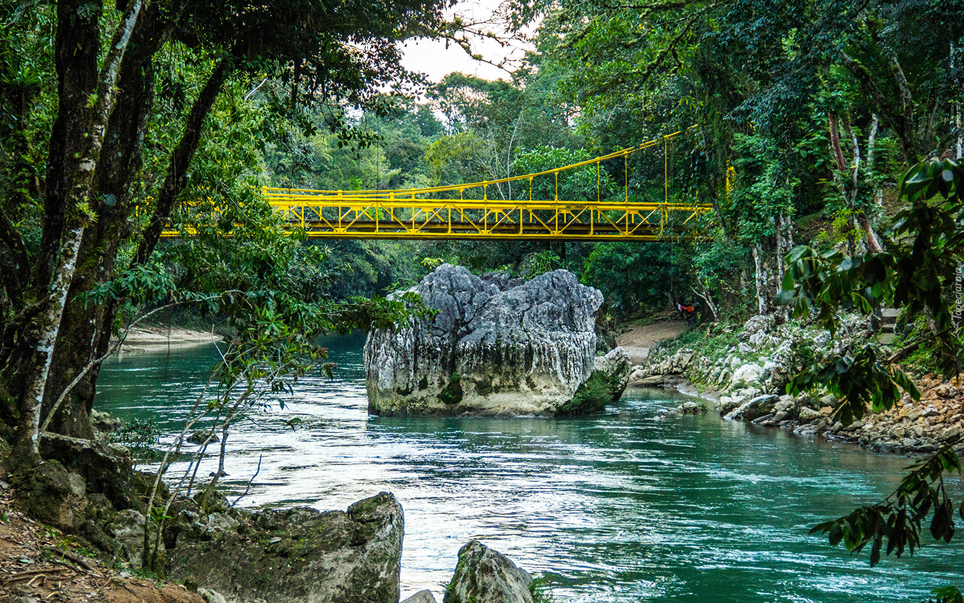 Rzeka Cahabon River, Most, Skała, Kamienie, Las, Drzewa, Gwatemala
