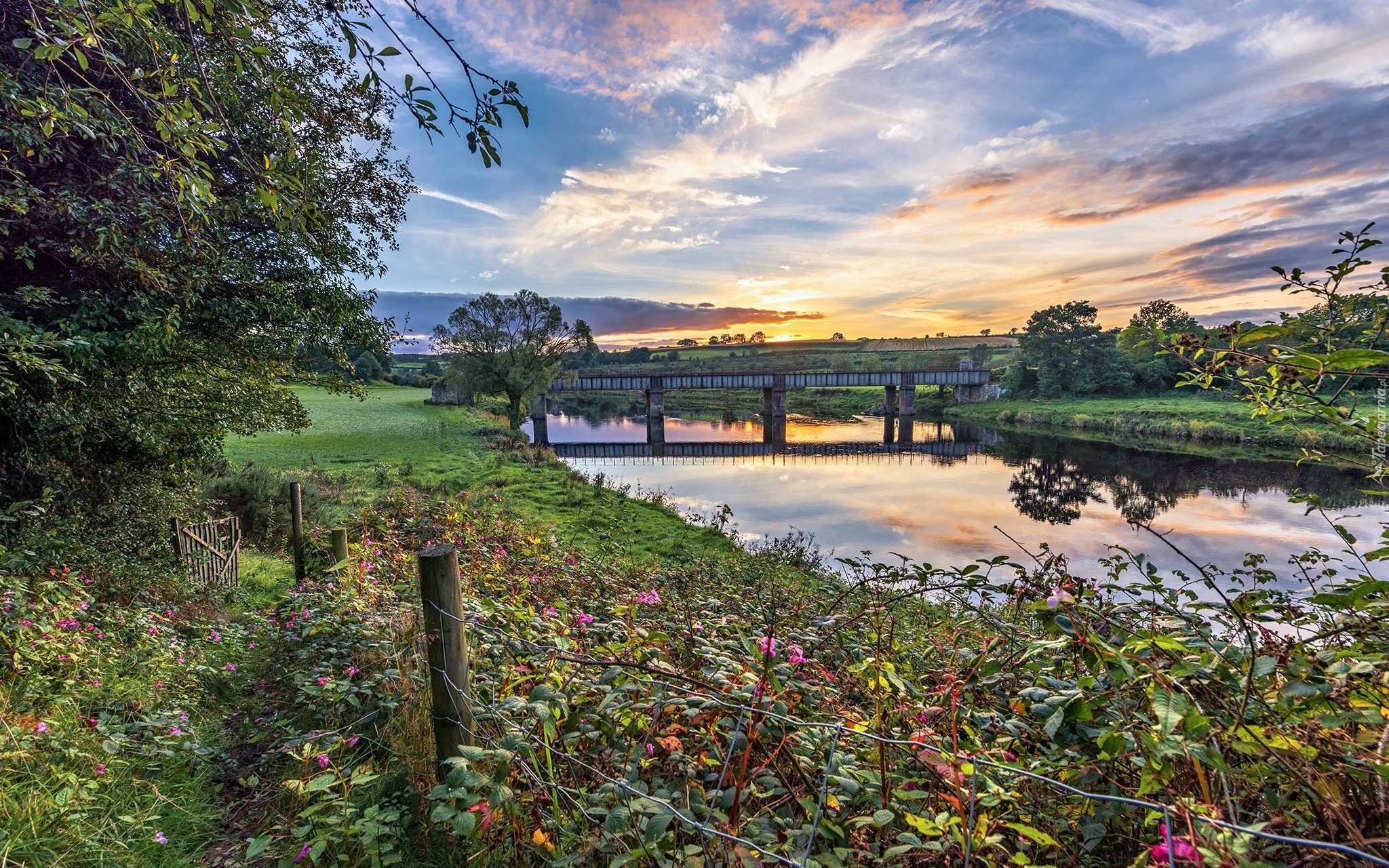 Rzeka Mourne River, Most, Drzewa, Roślinność, Wschód słońca, Chmury, Strabane, Irlandia Północna