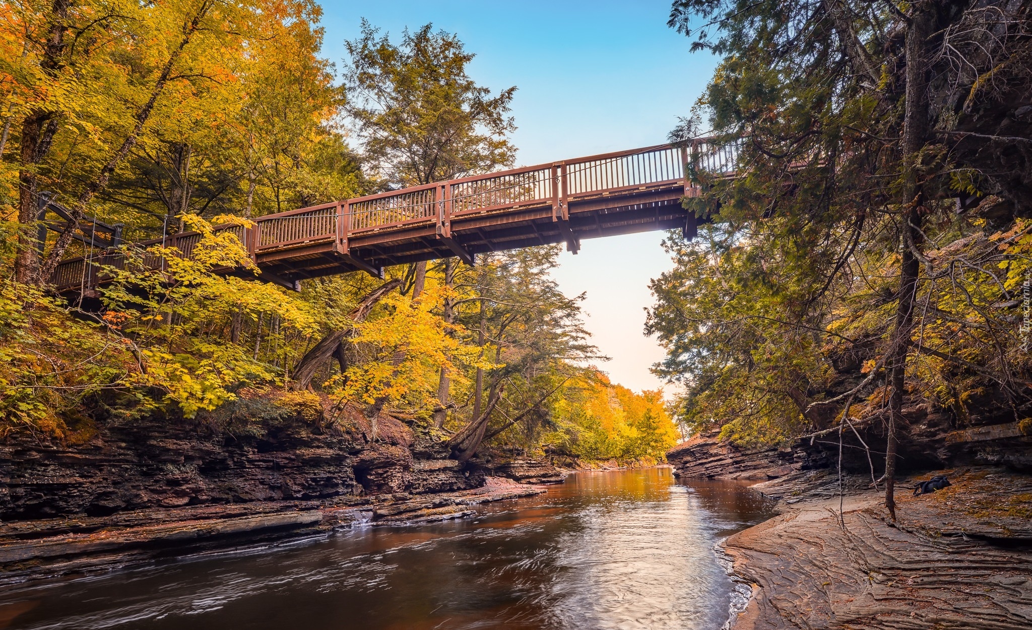 Stany Zjednoczone, Michigan, Rzeka, Presque Isle River, Most, Drzewa, Jesień