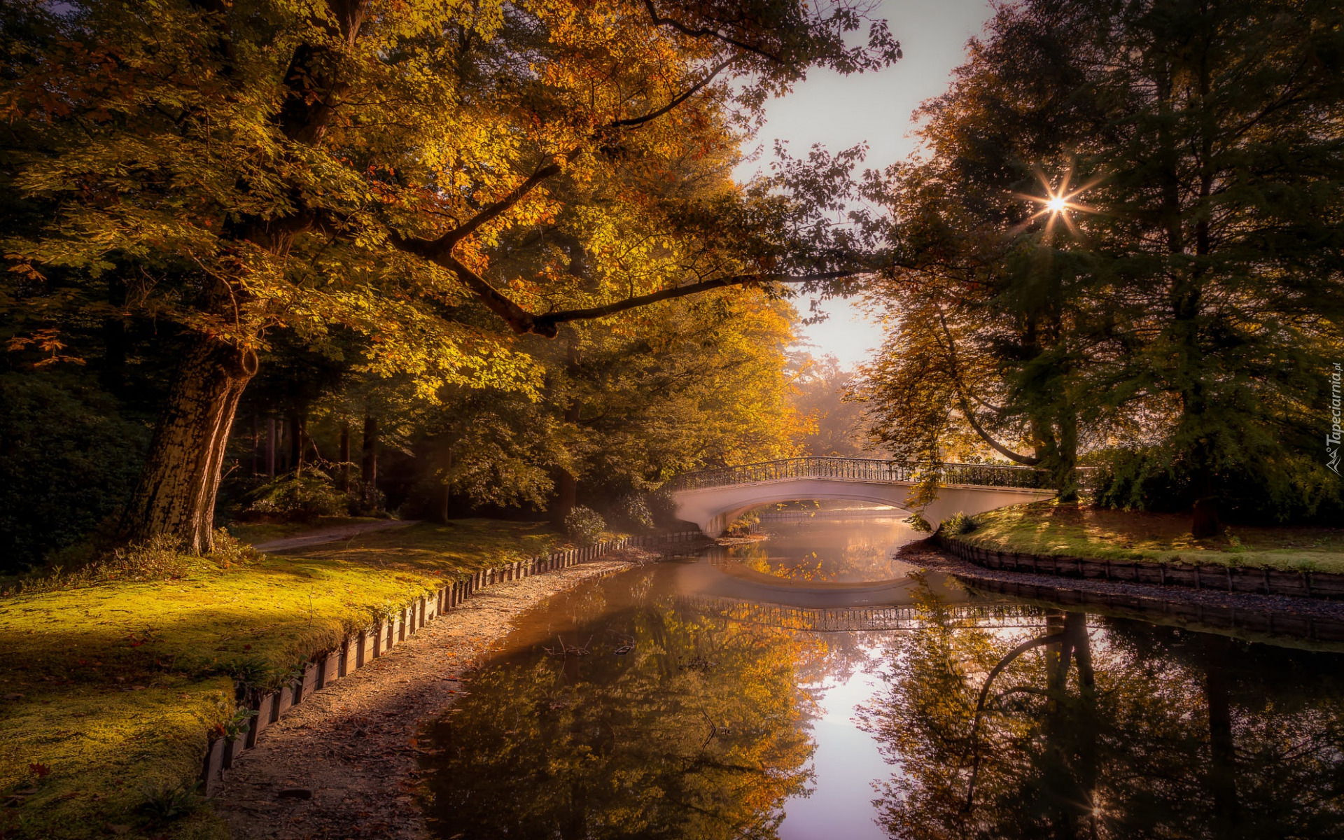 Park, Staw, Most, Drzewa, Odbicie, Promienie słońca, Jesień