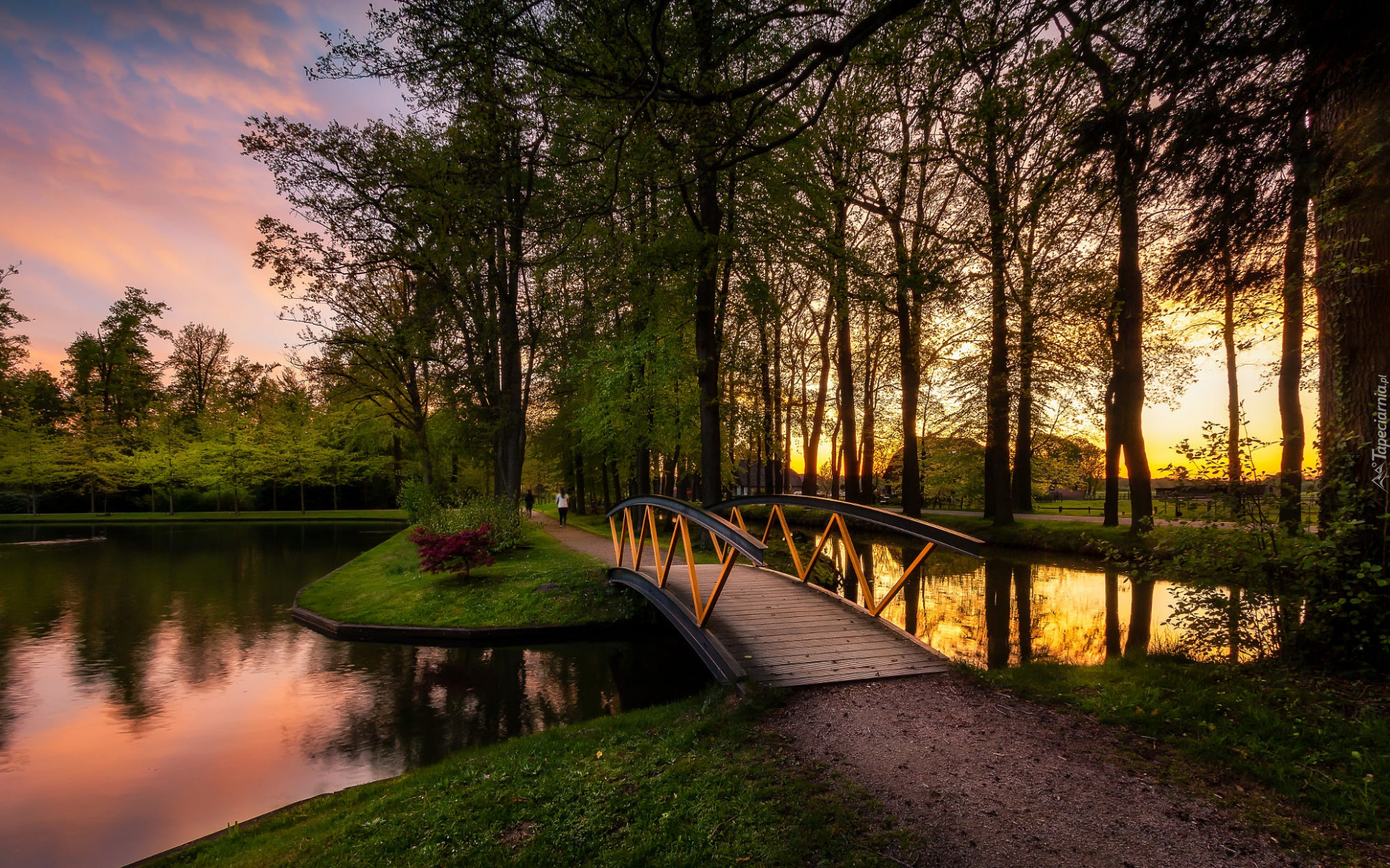 Park, Drzewa, Zachód słońca, Staw, Mostek, Roślinność