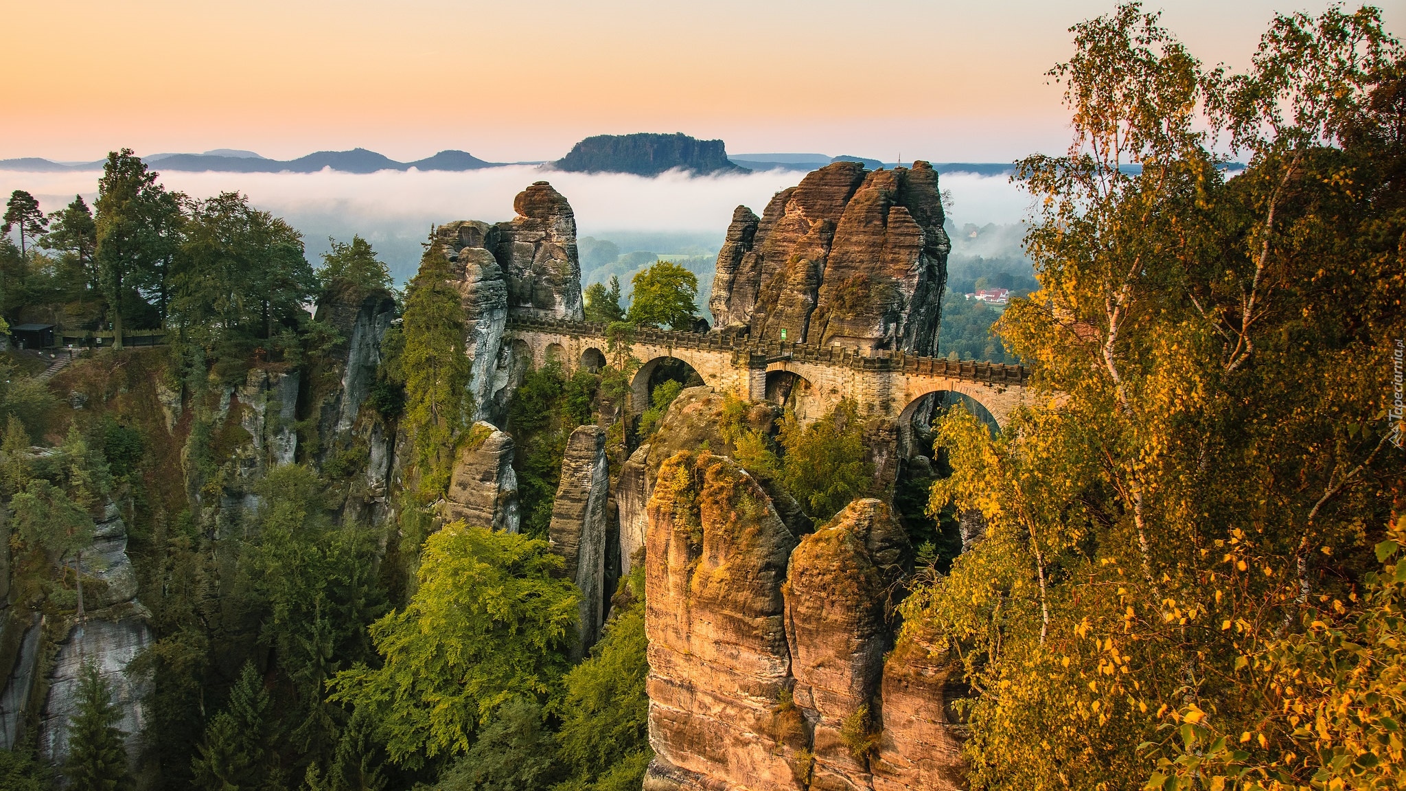 Park Narodowy Saskiej Szwajcarii, Formacja skalna Bastei, Most kamienny, Skały, Drzewa, Góry Połabskie, Niemcy