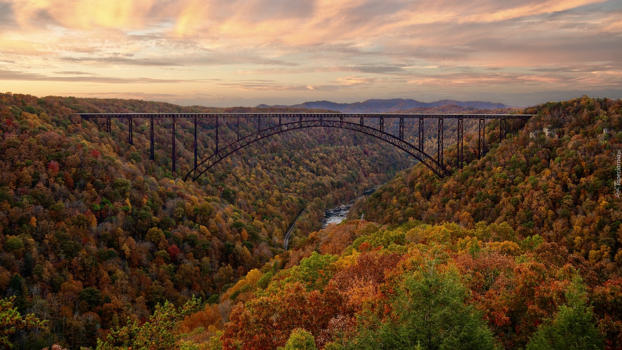 Stany Zjednoczone, Wirginia Zachodnia, Wąwóz, Rzeka, Most, New River Gorge Bridge, Jesień, Lasy