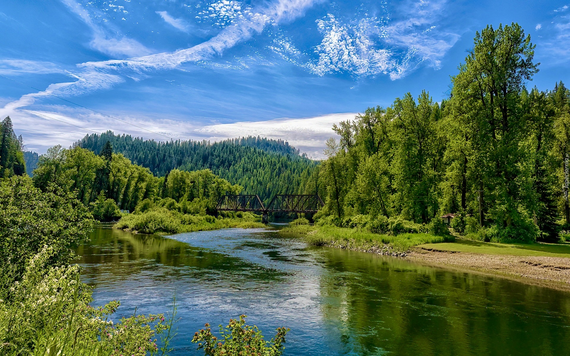 Stany Zjednoczone, Idaho, Rzeka, St Joe River, Most, Railroad Bridge, Drzewa