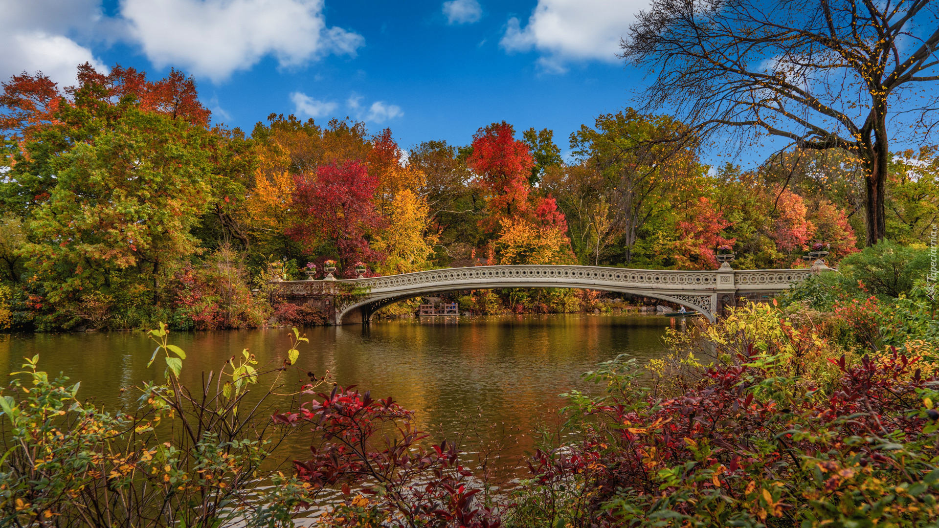 Jesień, Nowy Jork, Manhattan, Central Park, Drzewa, Jezioro, Most, Stany Zjednoczone