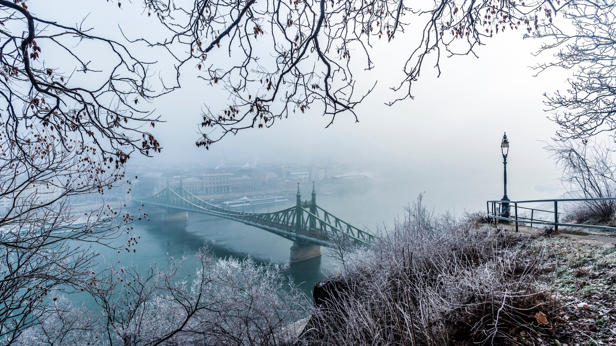 Most Wolności, Rzeka Dunaj, Gałęzie, Latarnia, Zima, Budapeszt, Węgry
