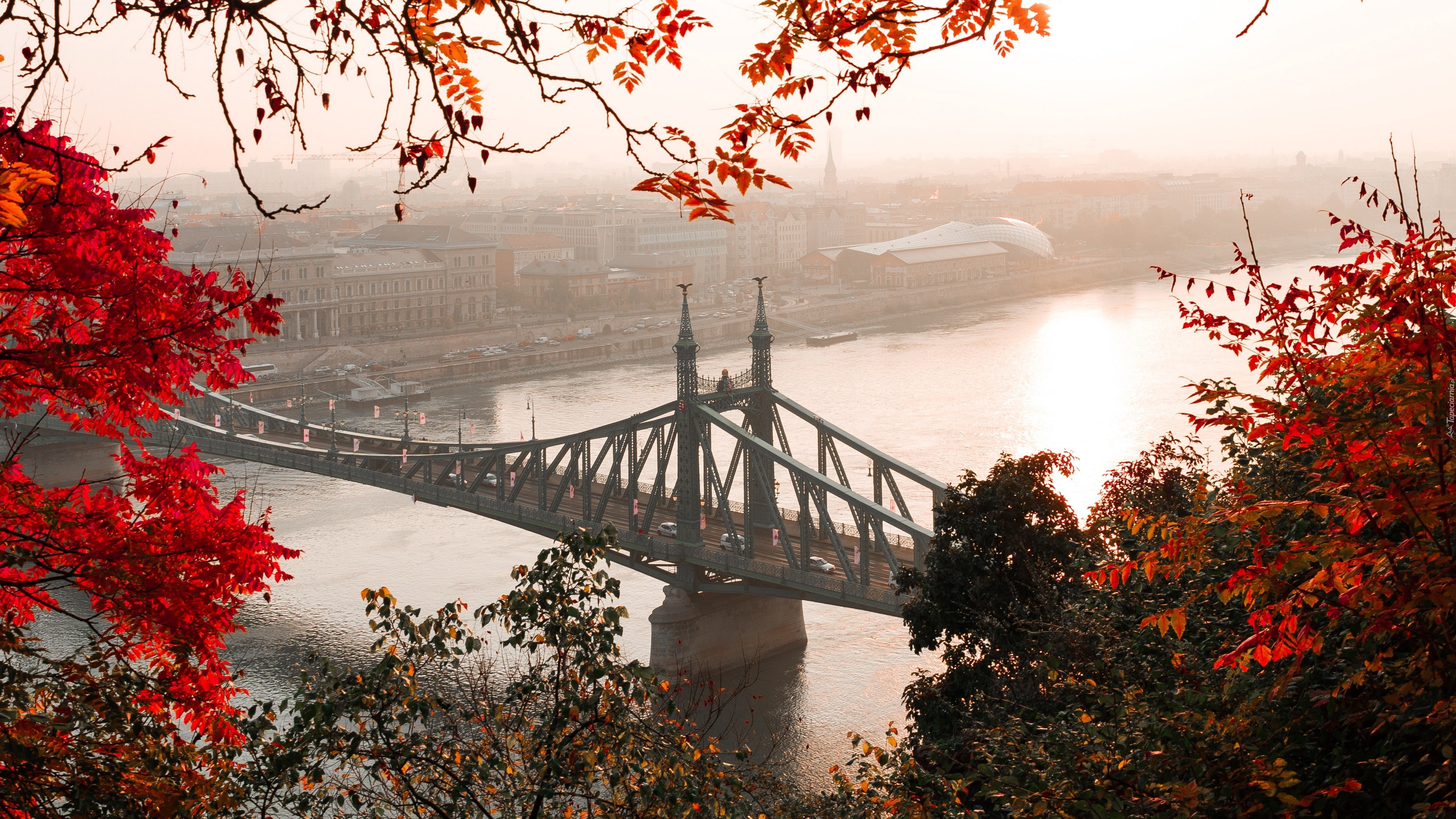 Węgry, Budapeszt, Most Wolności, Rzeka Dunaj, Jesień
