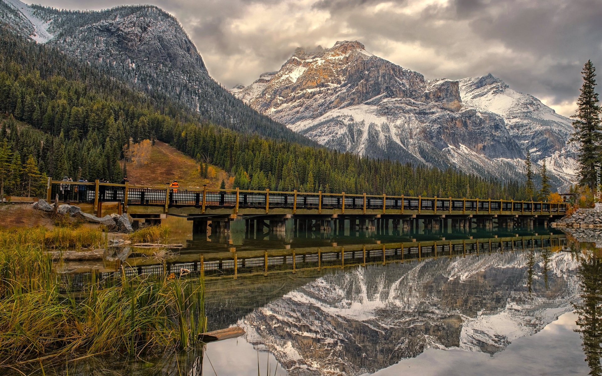 Kanada, Kolumbia Brytyjska, Park Narodowy Yoho, Góry, Jezioro, Emerald Lake, Most, Drzewa, Odbicie