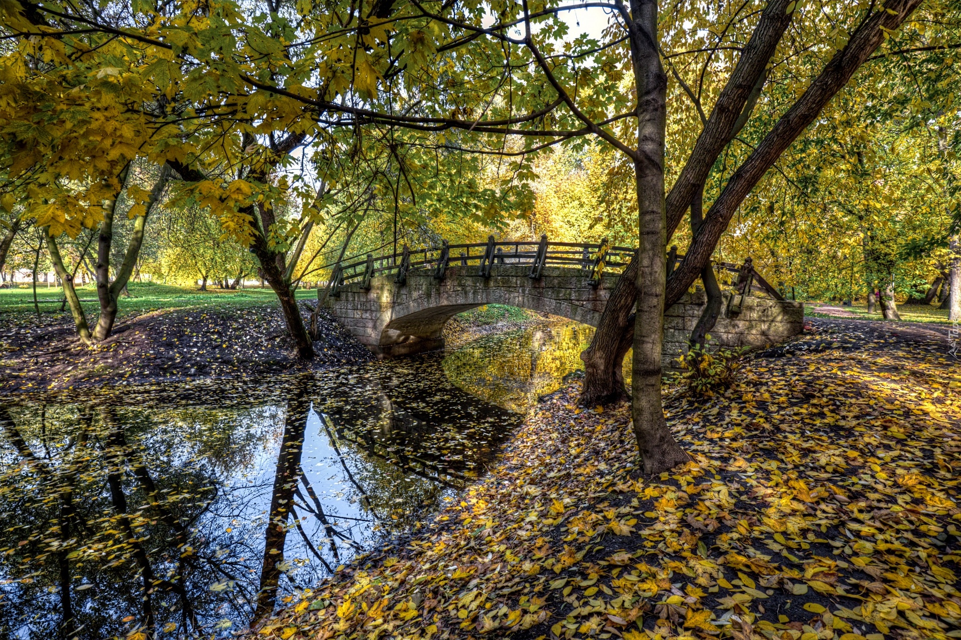Park, Jesień, Drzewa, Most, Rzeka