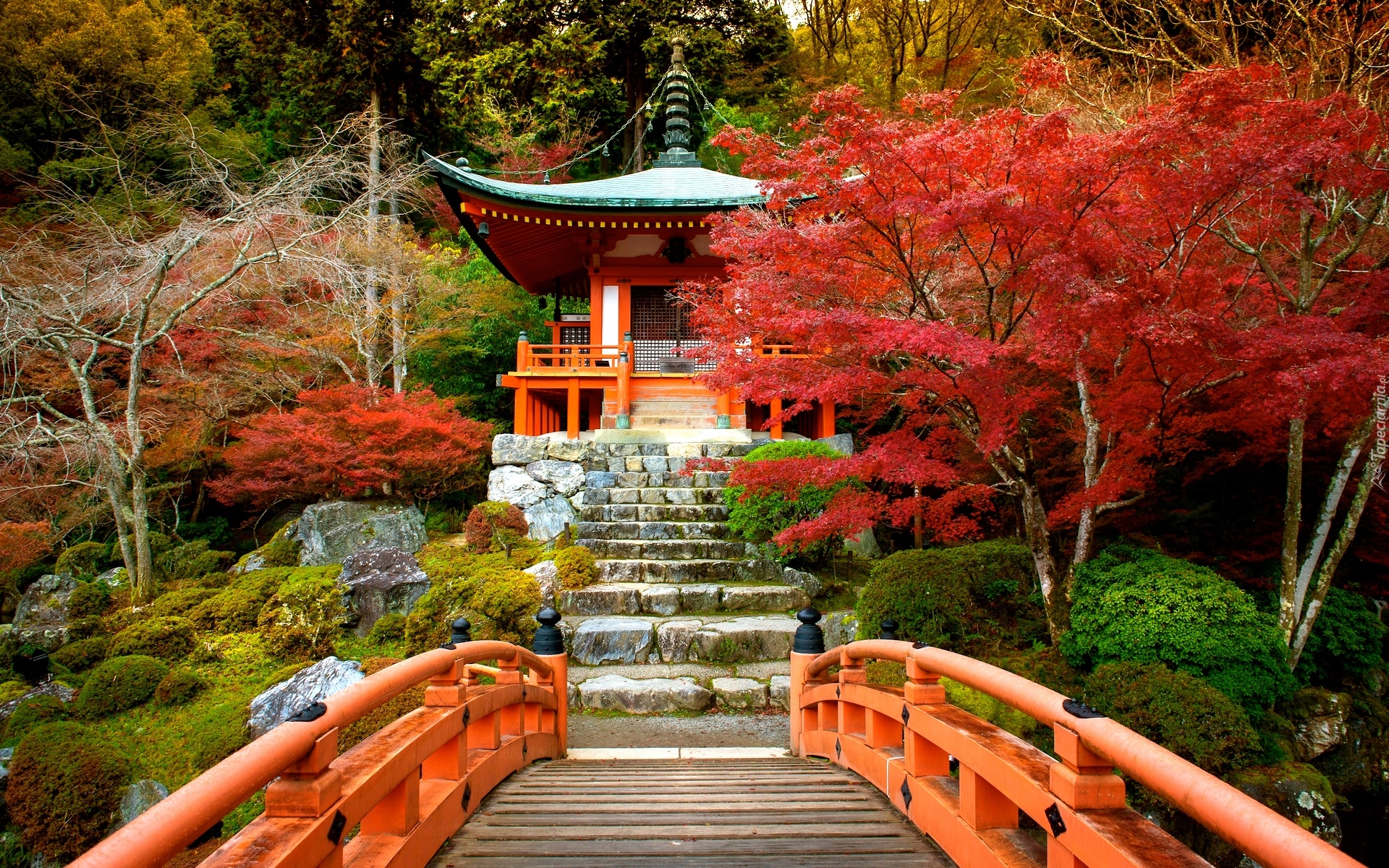 Japonia, Kioto, Świątynia, Bentendo Temple, Kompleks Daigo-ji, Drzewa, Mostek, Jesień