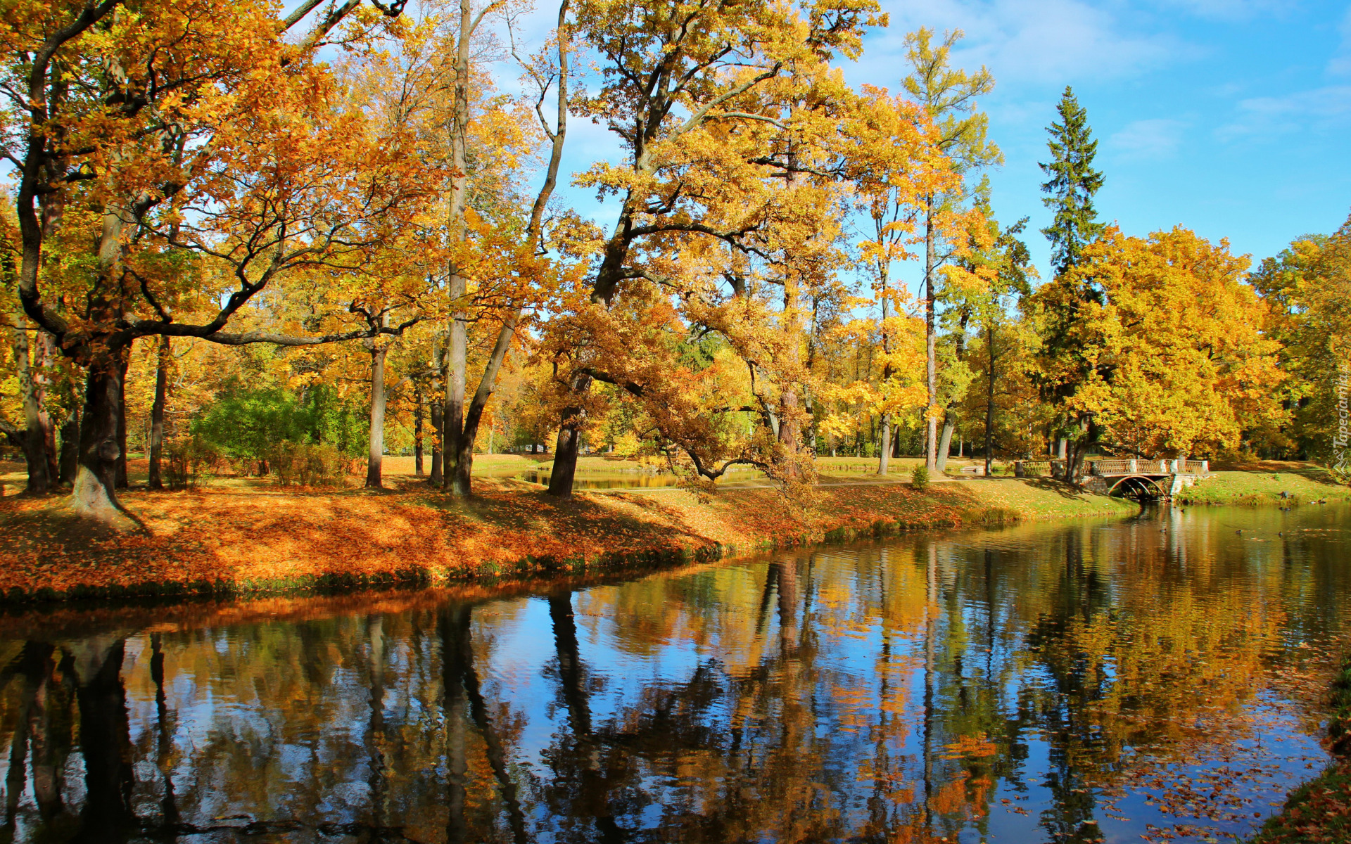 Jesień, Park, Drzewa, Pożółkłe, Liście, Niebo, Staw, Odbicie, Mostek, Słoneczny, Dzień