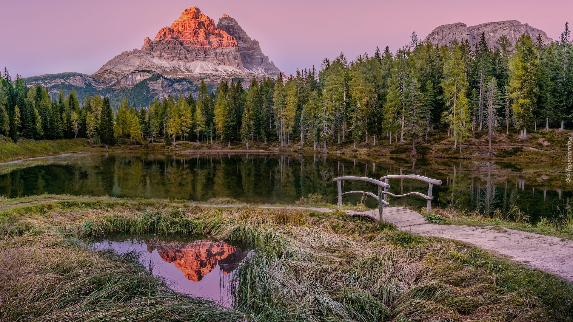 Jezioro, Antorno Lake, Mostek, Góry, Dolomity, Masyw, Tre Cime di Lavaredo, Drzewa, Trawa, Prowincja Belluno, Włochy