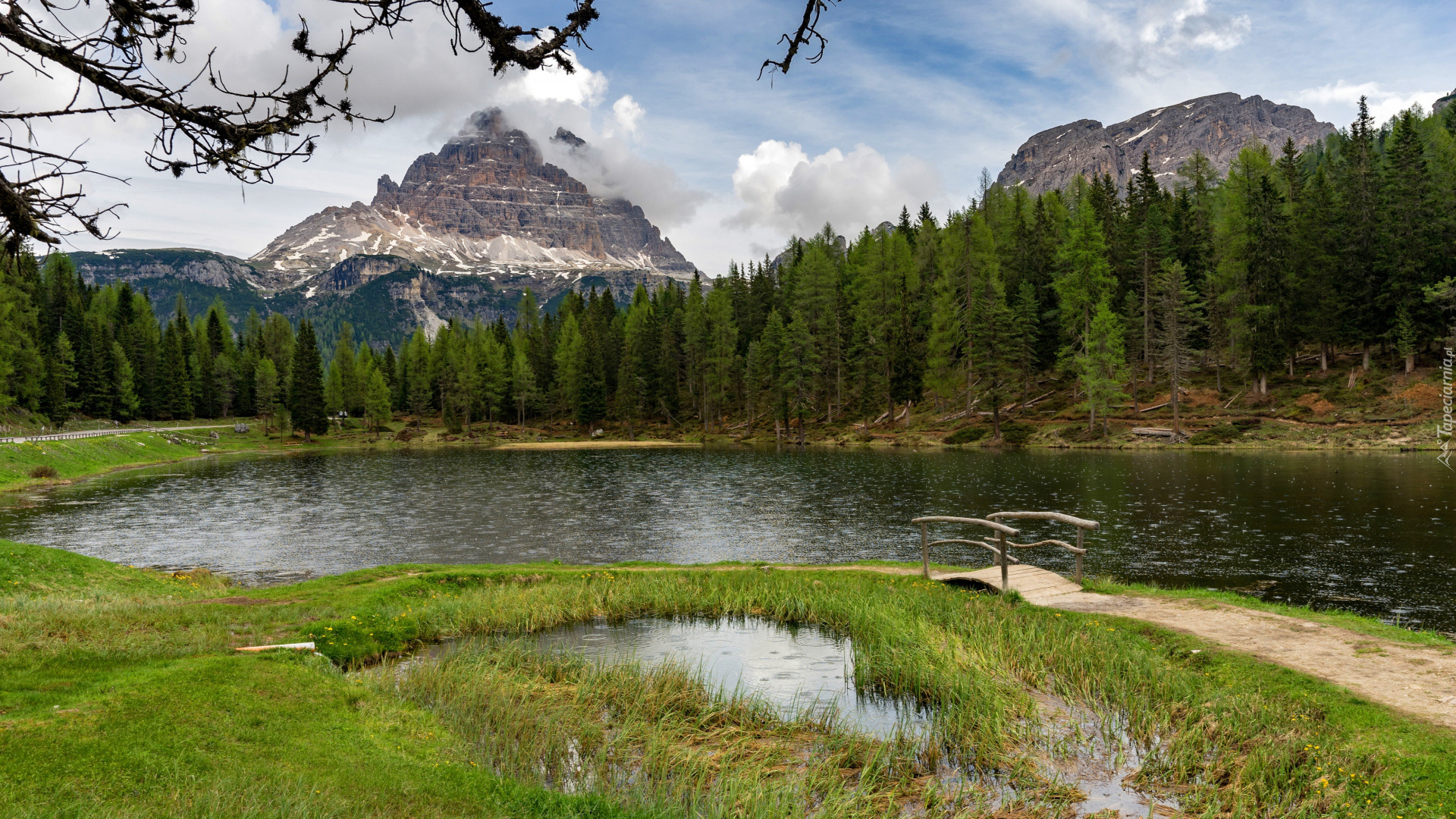 Jezioro, Antorno Lake, Most, Trawa, Drzewa, Las, Góry, Dolomity, Włochy