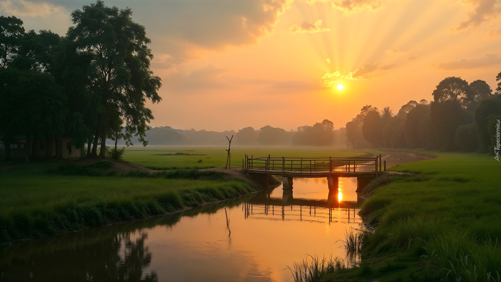 Rzeka, Most, Zachód słońca, Drzewa, AI