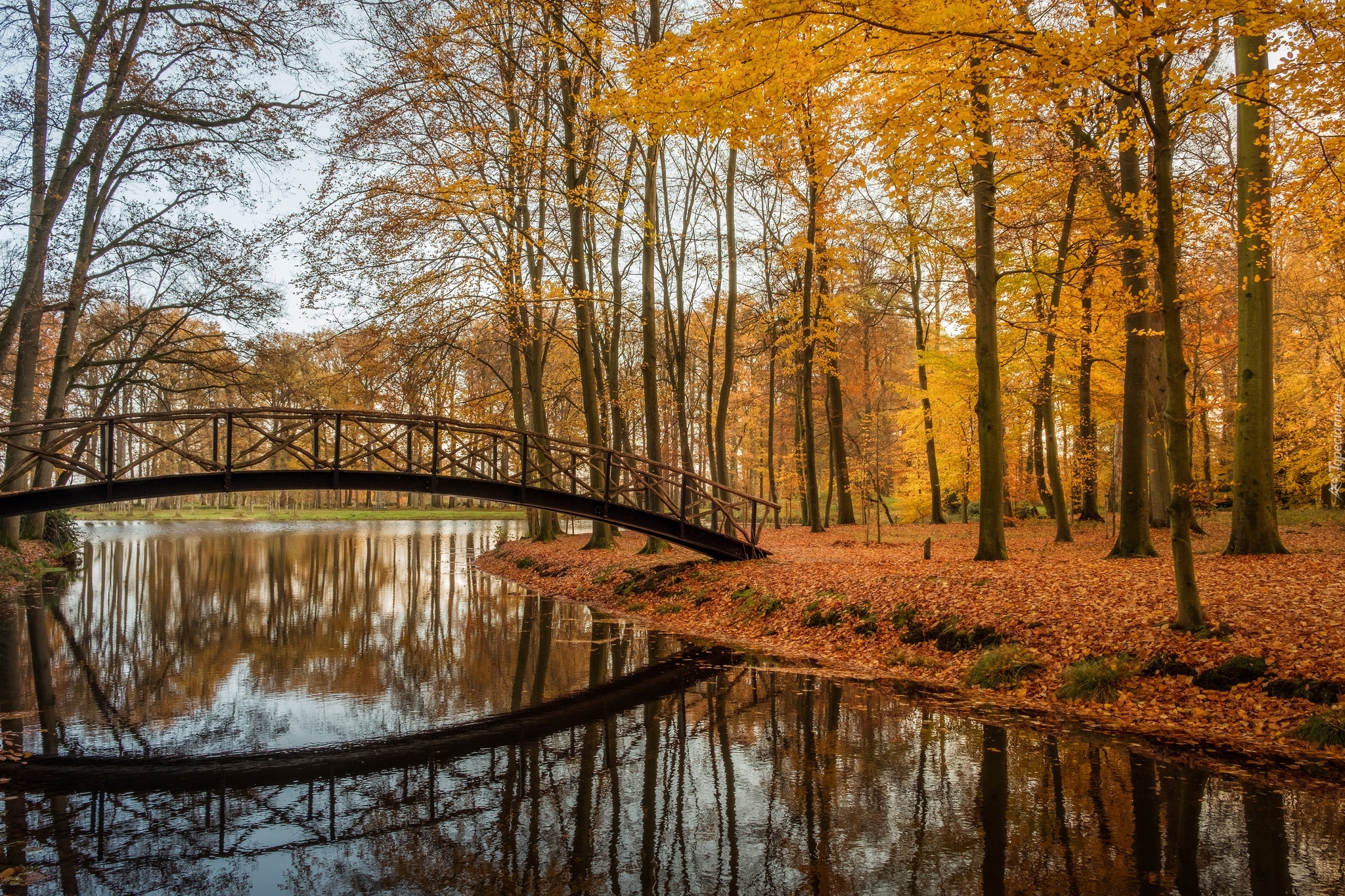 Holandia, Prowincja Geldria, Gmina Brummen, Posiadłość Huis Voorstonden, Park, Staw, Jesień, Mostek