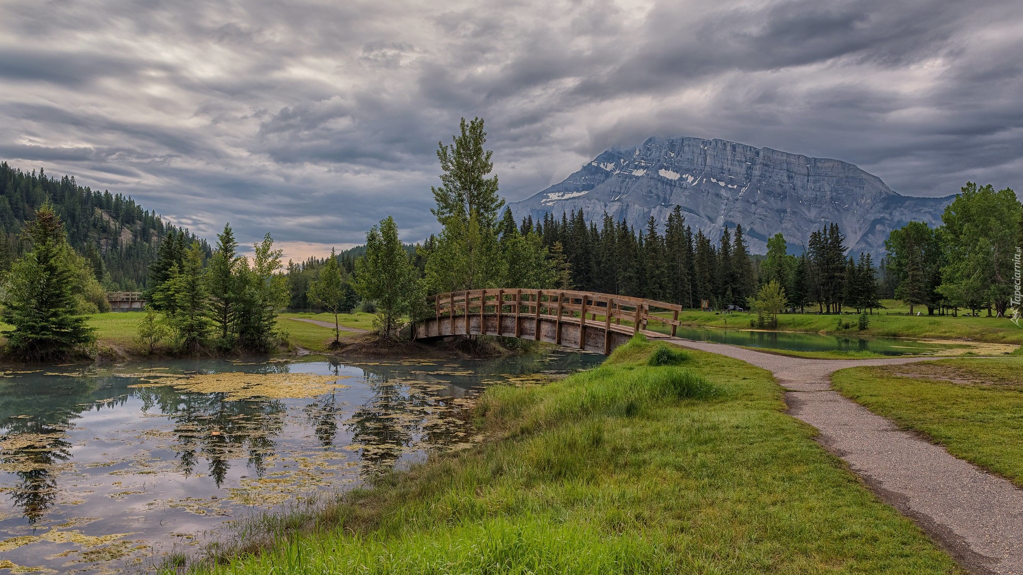 Góra, Mount Rundle, Drzewa, Mostek, Chmury, Park Narodowy Banff, Alberta, Kanada, Staw