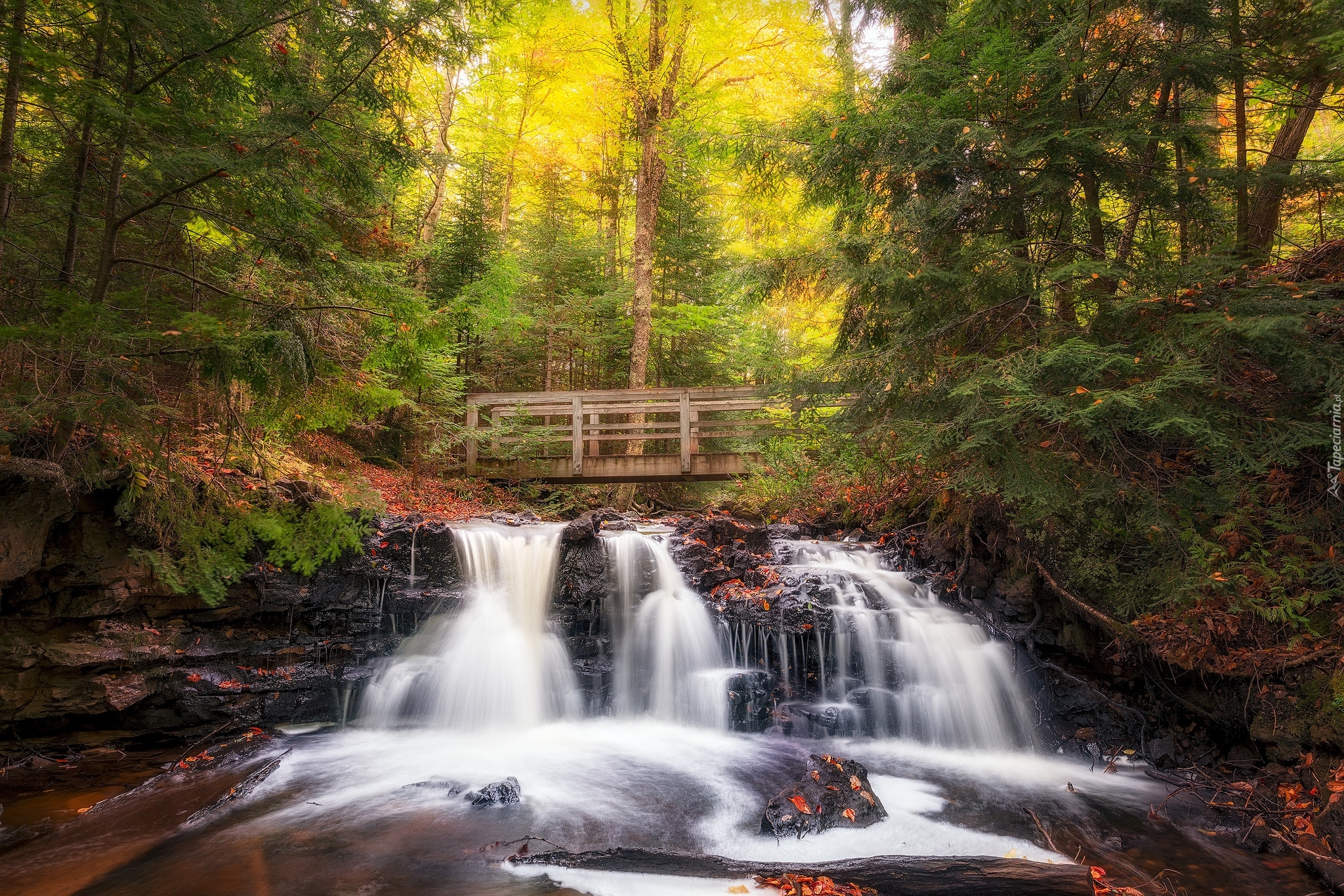 Las, Wodospad Chapel Falls, Jesień, Mostek, Park Narodowy Pictured Rocks National Lakeshore, Miejscowość Munising, Stan Michigan, Stany Zjednoczone