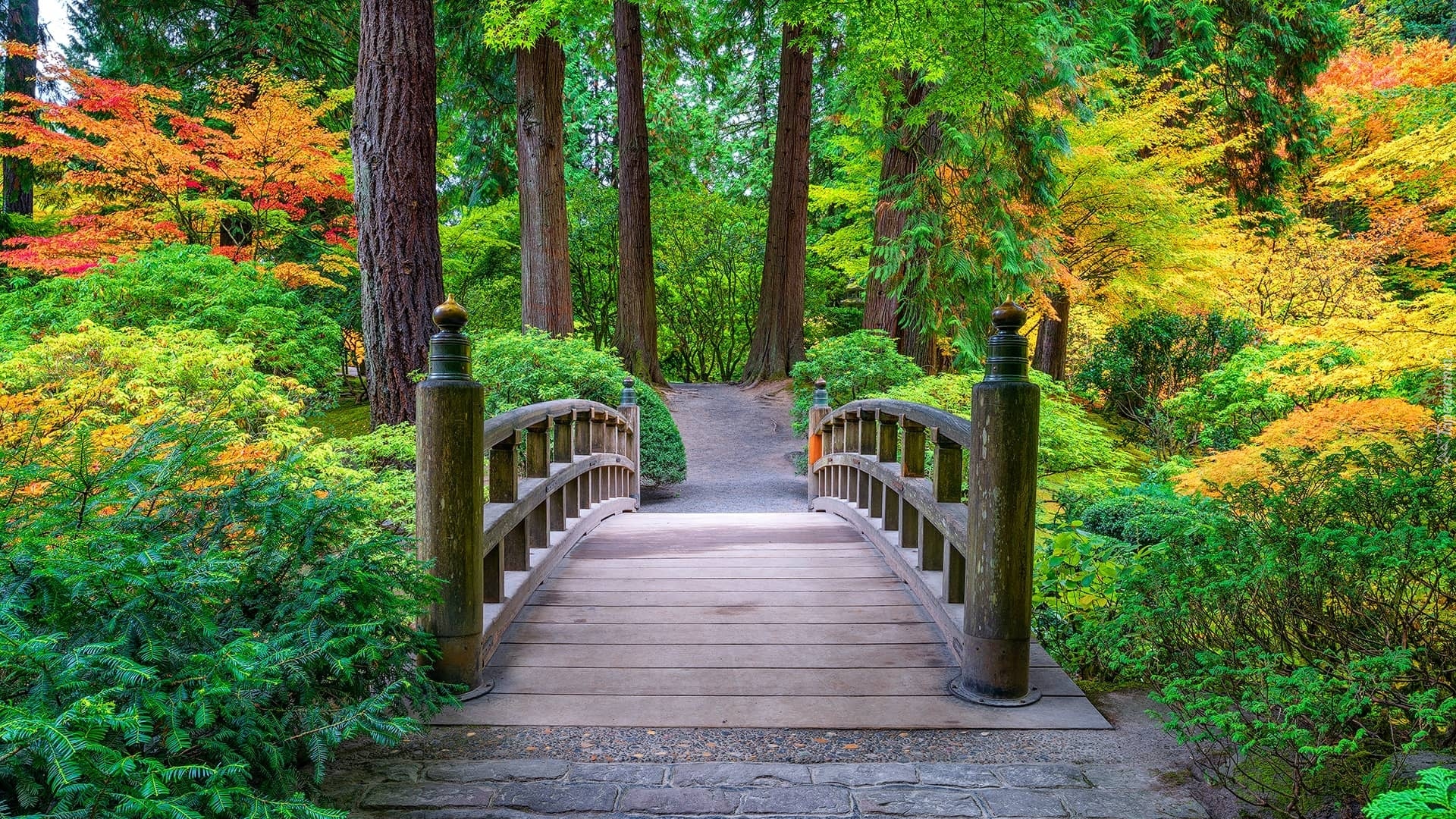 Stany Zjednoczone, Oregon, Portland, Portland Japanese Garden, Ogród, Drzewa, Krzewy, Mostek