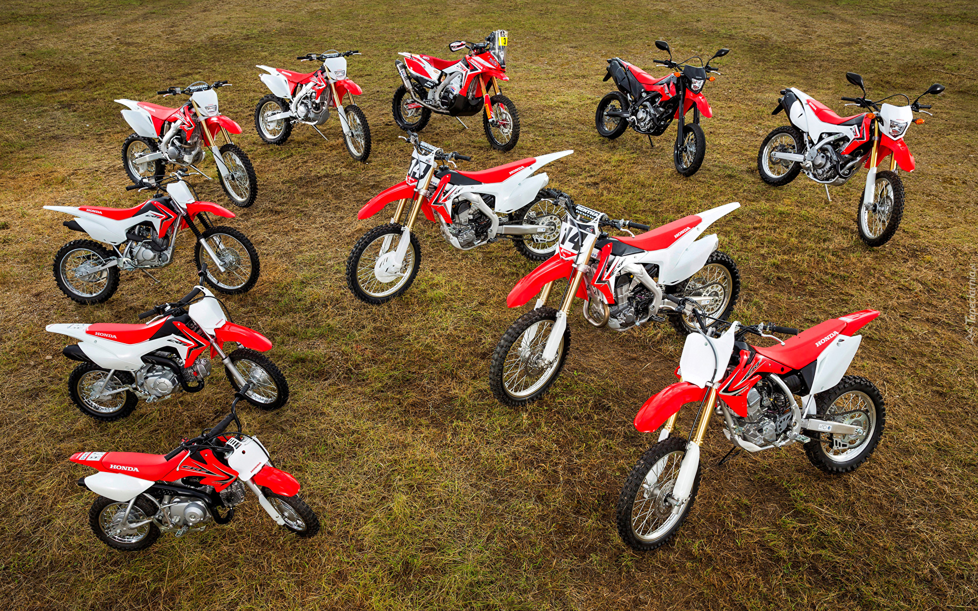 Motocykle, Honda CRF, Czerwono-białe