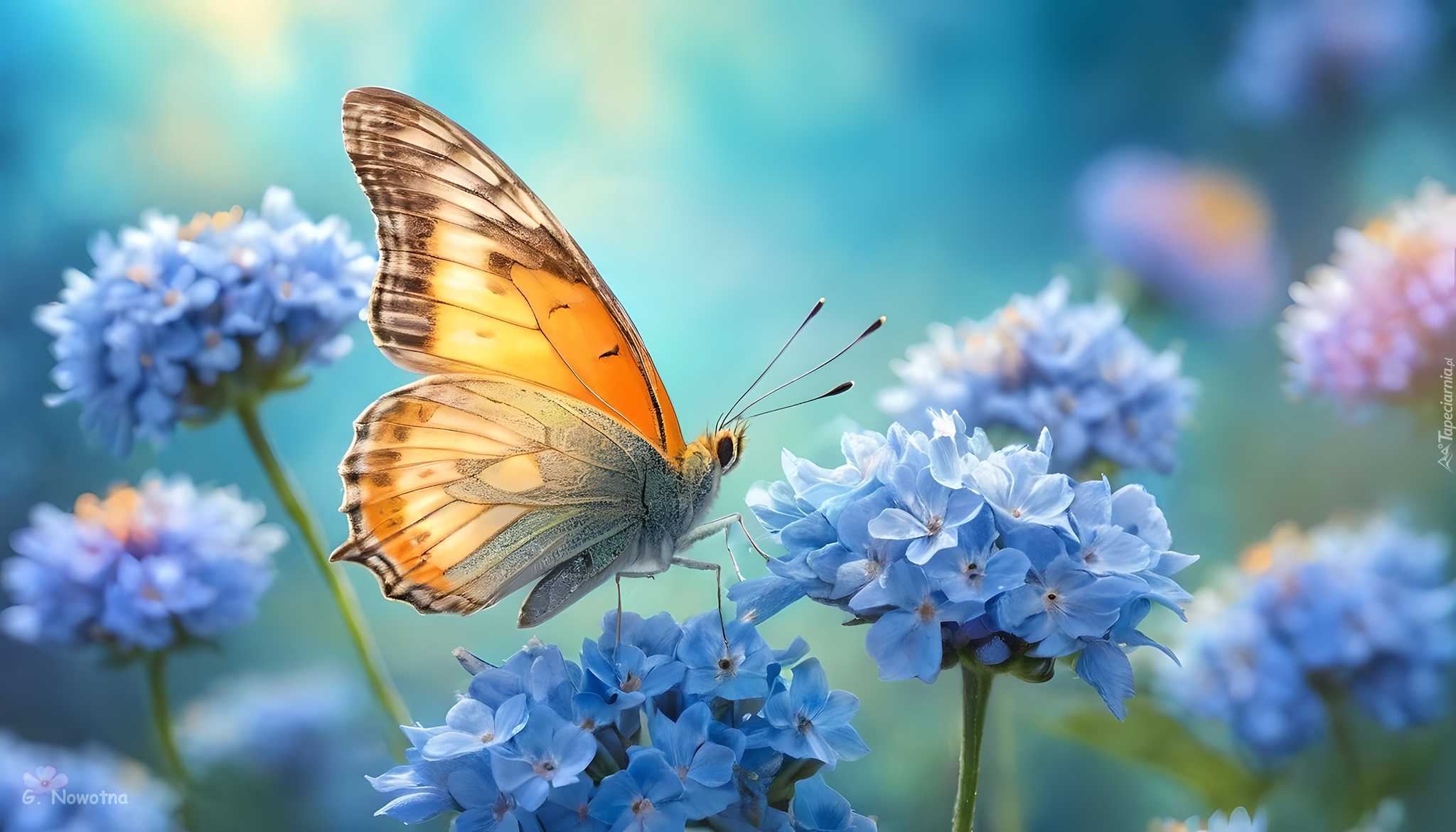 Motyl, Owad, Niebieskie, Kwiaty, Grafika
