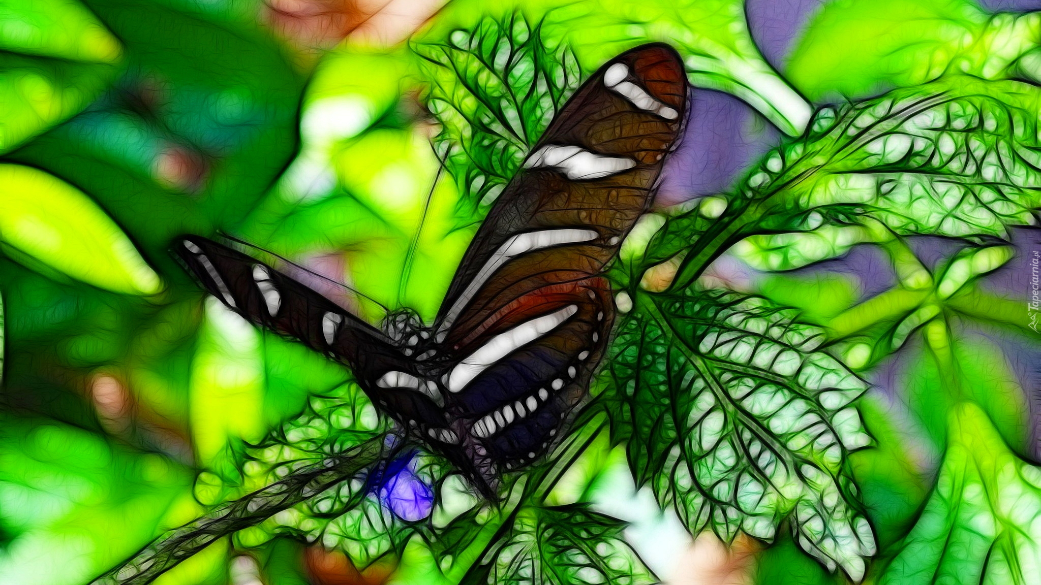 Motyl, Gałązka, Liście, Fractalius