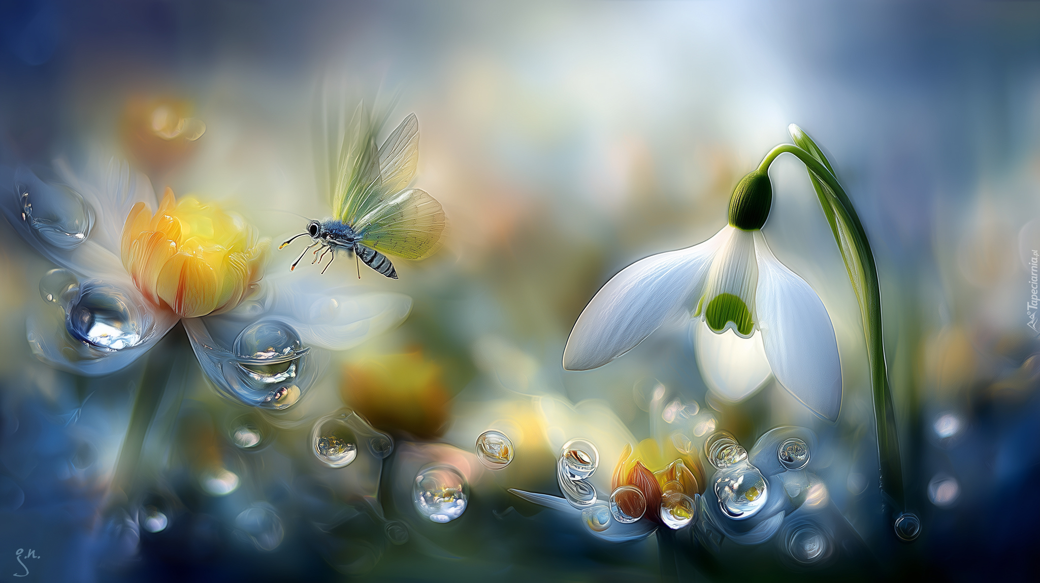 Przebiśnieg, Kwiat, Motyl, Krople, Grafika AI