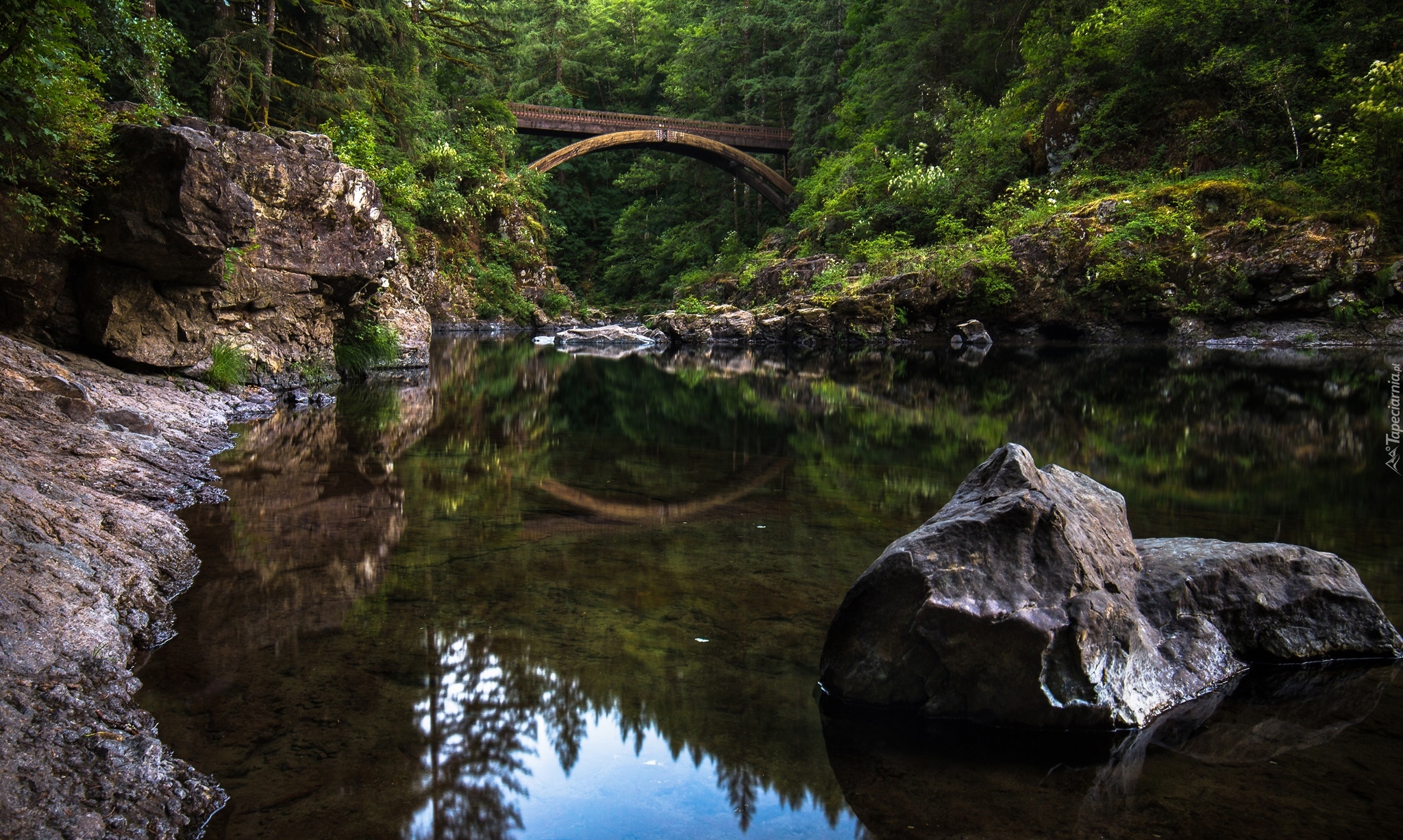 Stany Zjednoczone, Stan Waszyngton, Moulton Falls Regional Park, Rzeka Lewis, Most Moulton Falls Bridge, Rzeka, Kamienie, Las