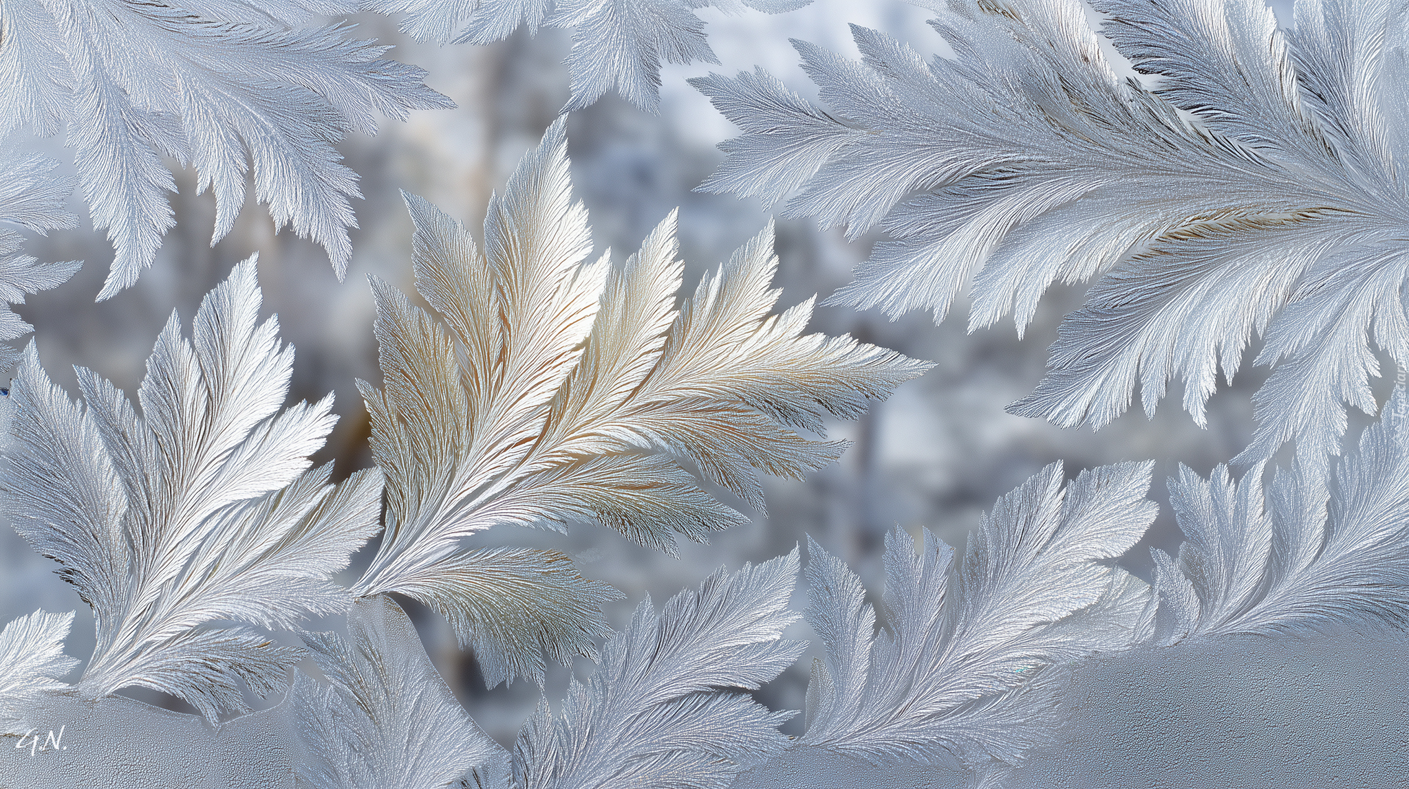 Mroźne, Wzory, Szyba, Grafika AI, Zima