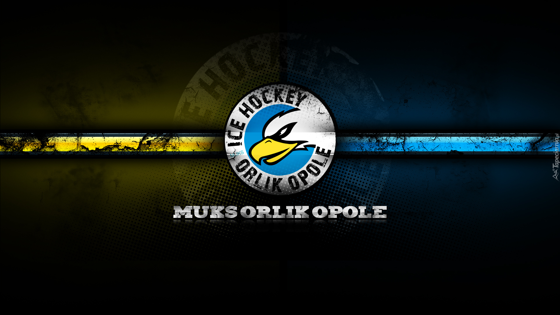 MUKS Orlik Opole, Klub hokejowy, Logo