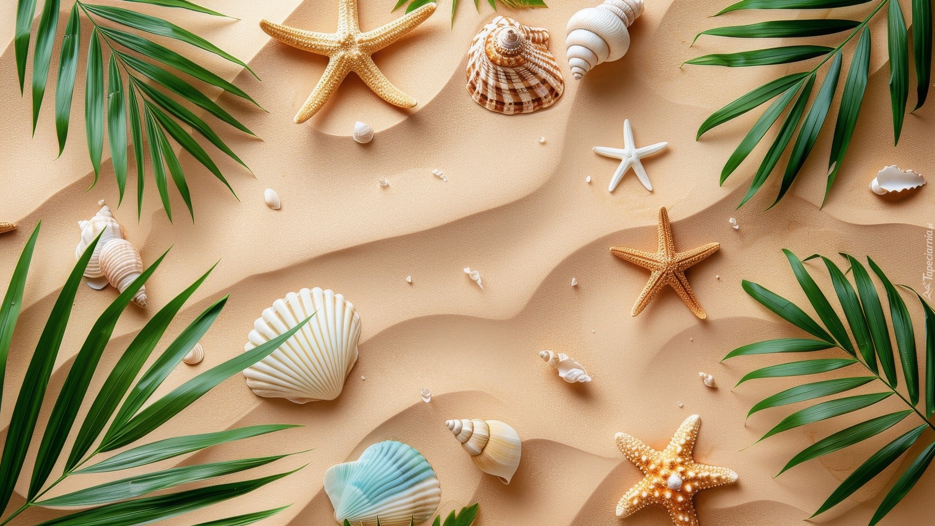 Piasek, Muszelki, Rozgwiazdy, Zielone, Liście