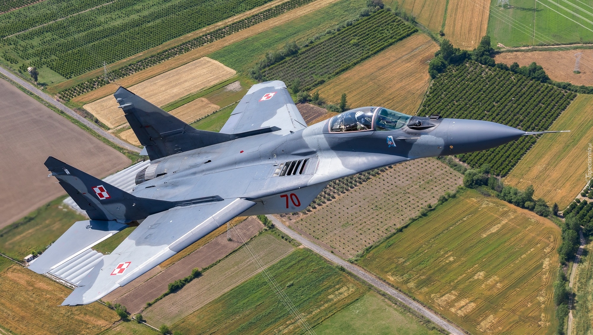 Samolot, Myśliwiec MiG-29A, Pola