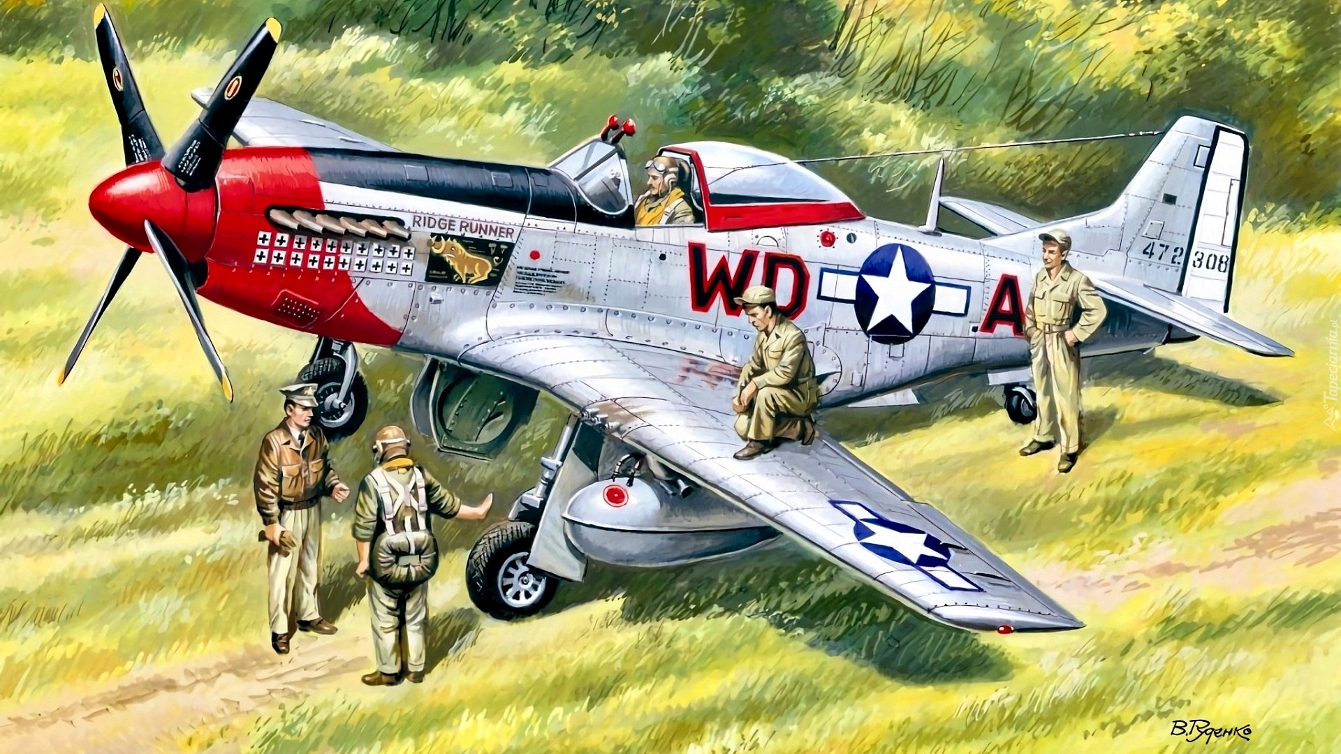 Samolot, Myśliwiec, North American P-51 Mustang, Reprodukcja obrazu