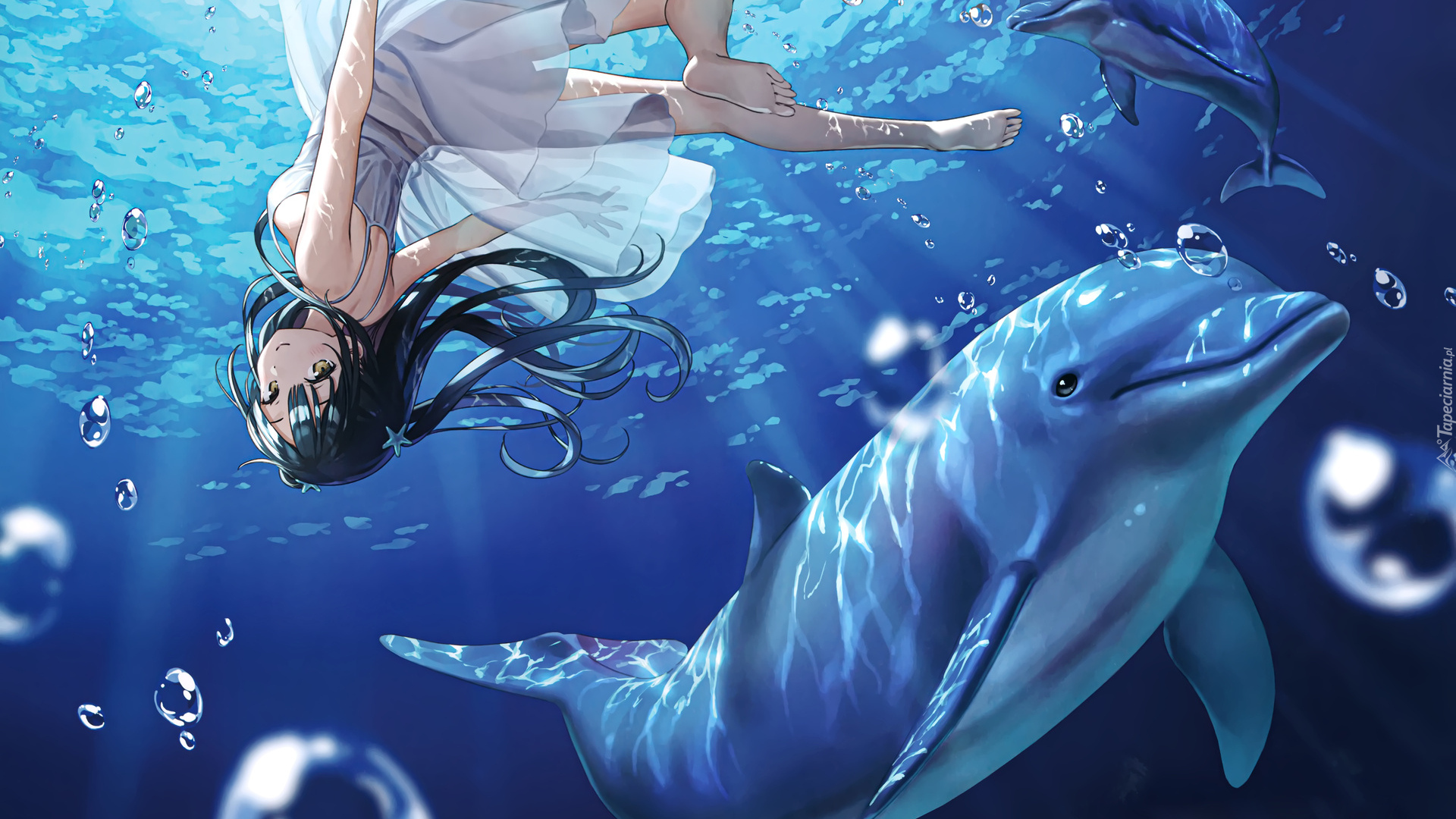 Delfin, Woda, Nagisha, Manga Anime