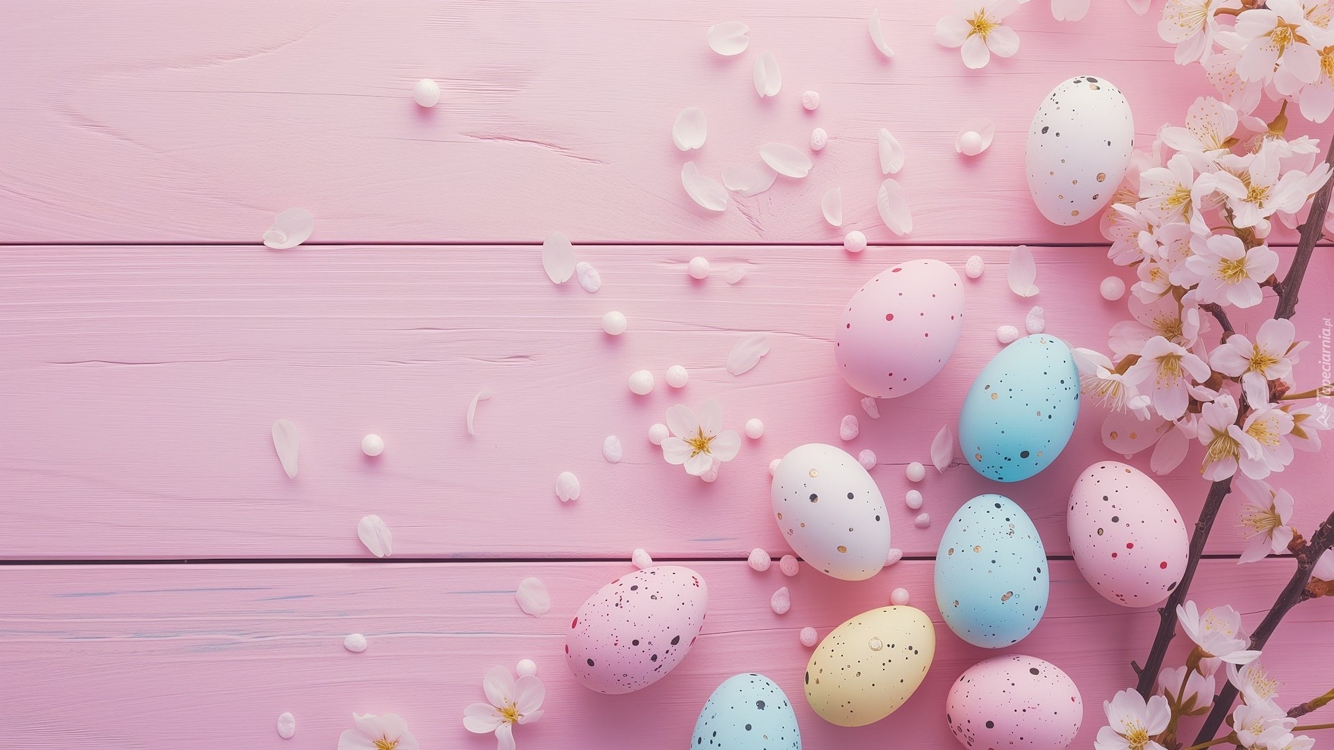 Wielkanoc, Kolorowe, Nakrapiane, Pisanki, Gałązki, Białe, Kwiaty, Różowe, Tło