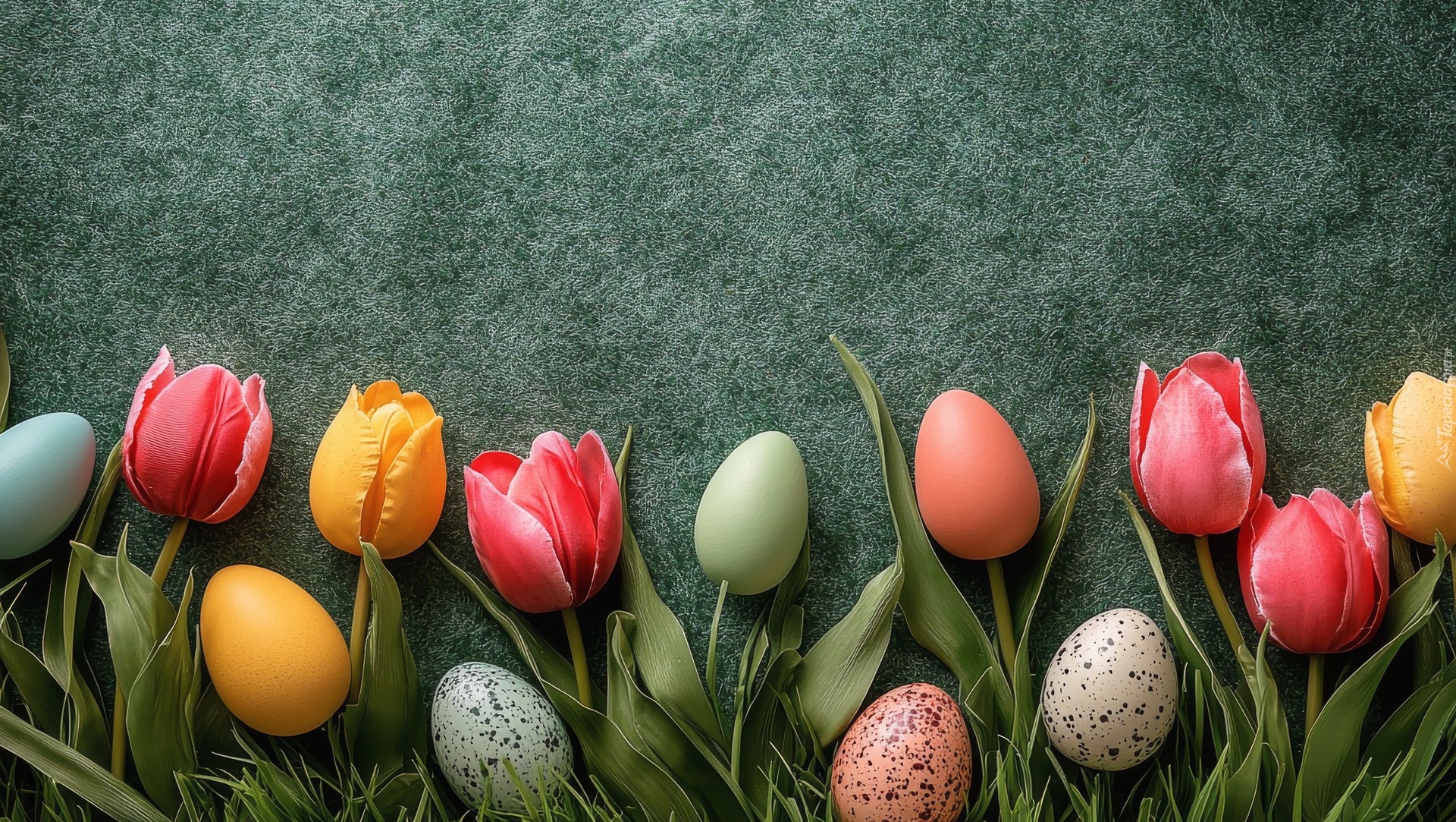 Wielkanoc, Kolorowe, Pisanki, Tulipany, Tło