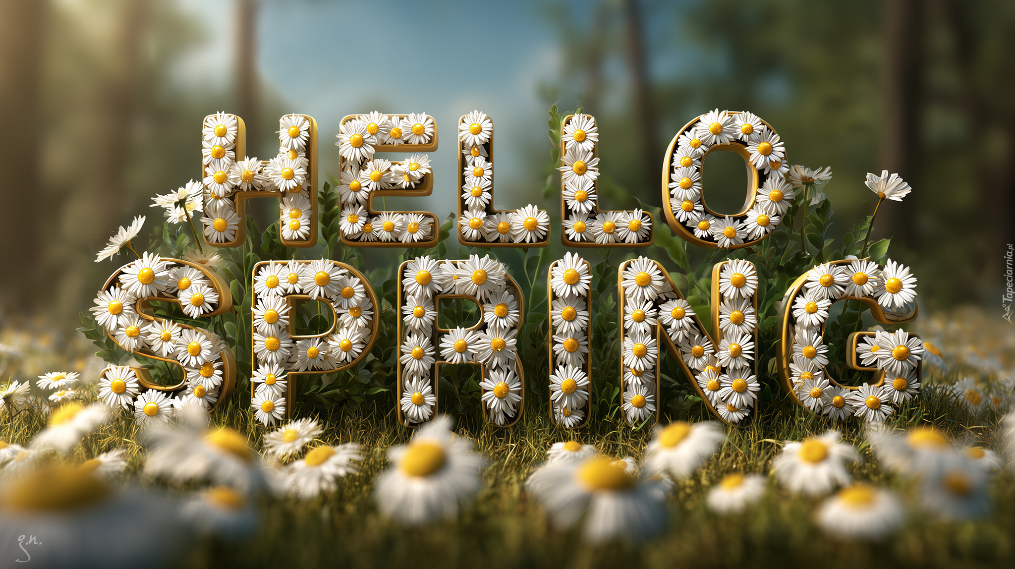 Wiosna, Napis, Hello Spring, Kwiaty, Stokrotki, Grafika AI