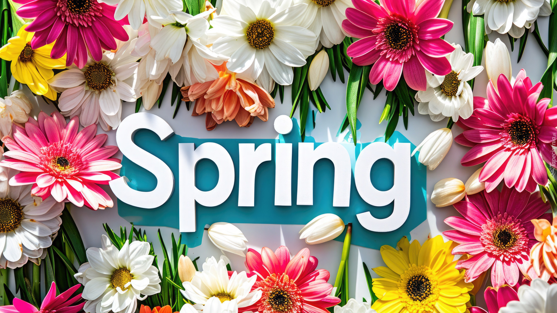 Kwiaty, Wiosna, Napis, Spring